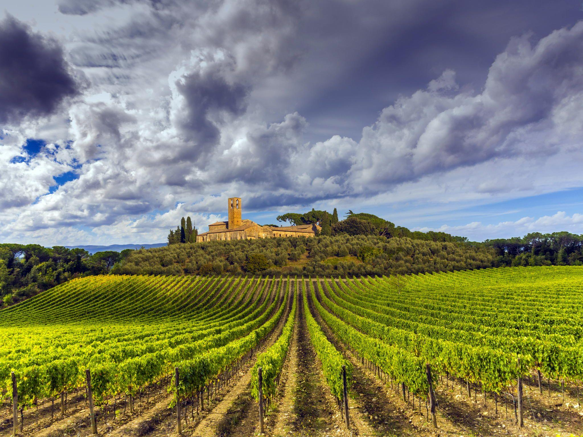 2048x1536 Italy Vineyard Wallpapers Top Free Italy Vineyard Backgrounds