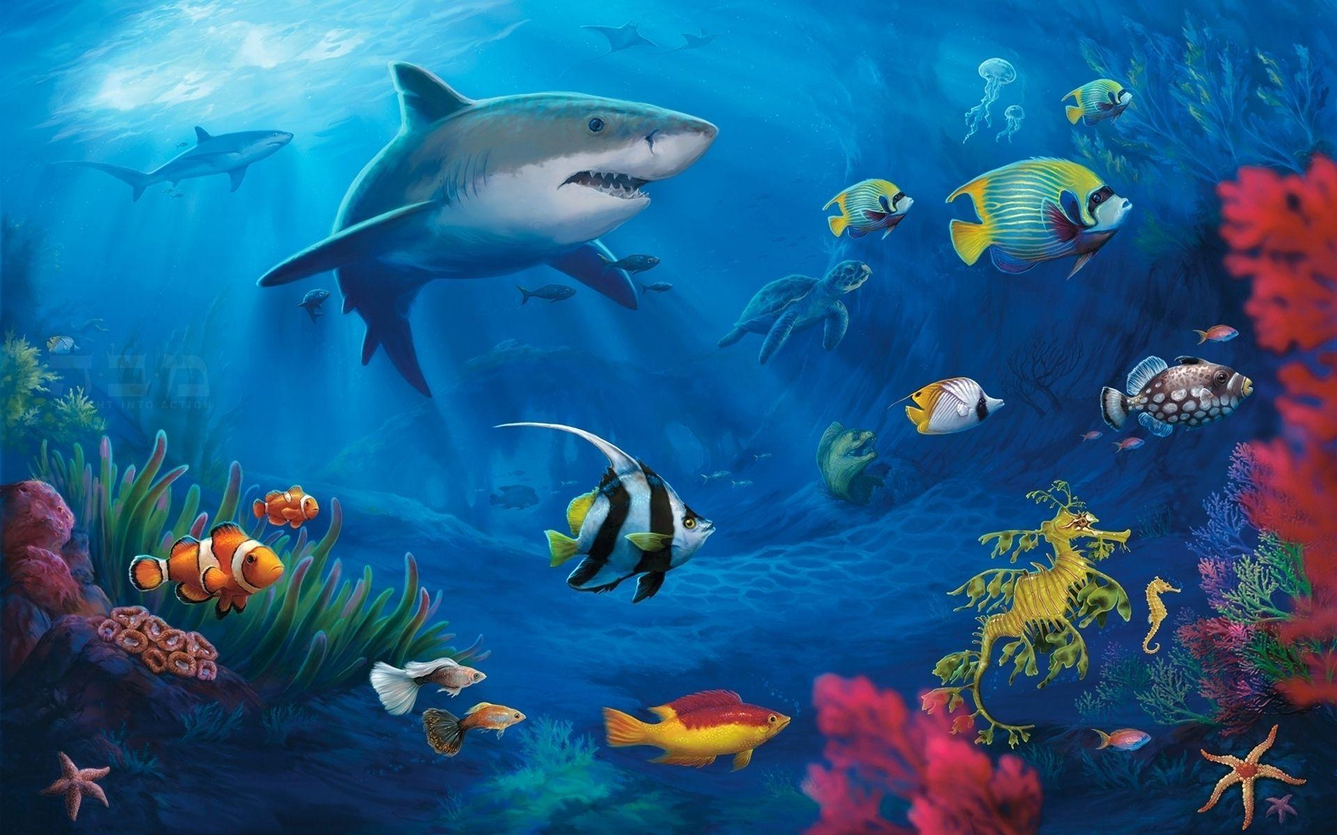 1920x1200 Underwater Ocean HD Wallpapers Top Free Underwater Ocean HD Backgrounds