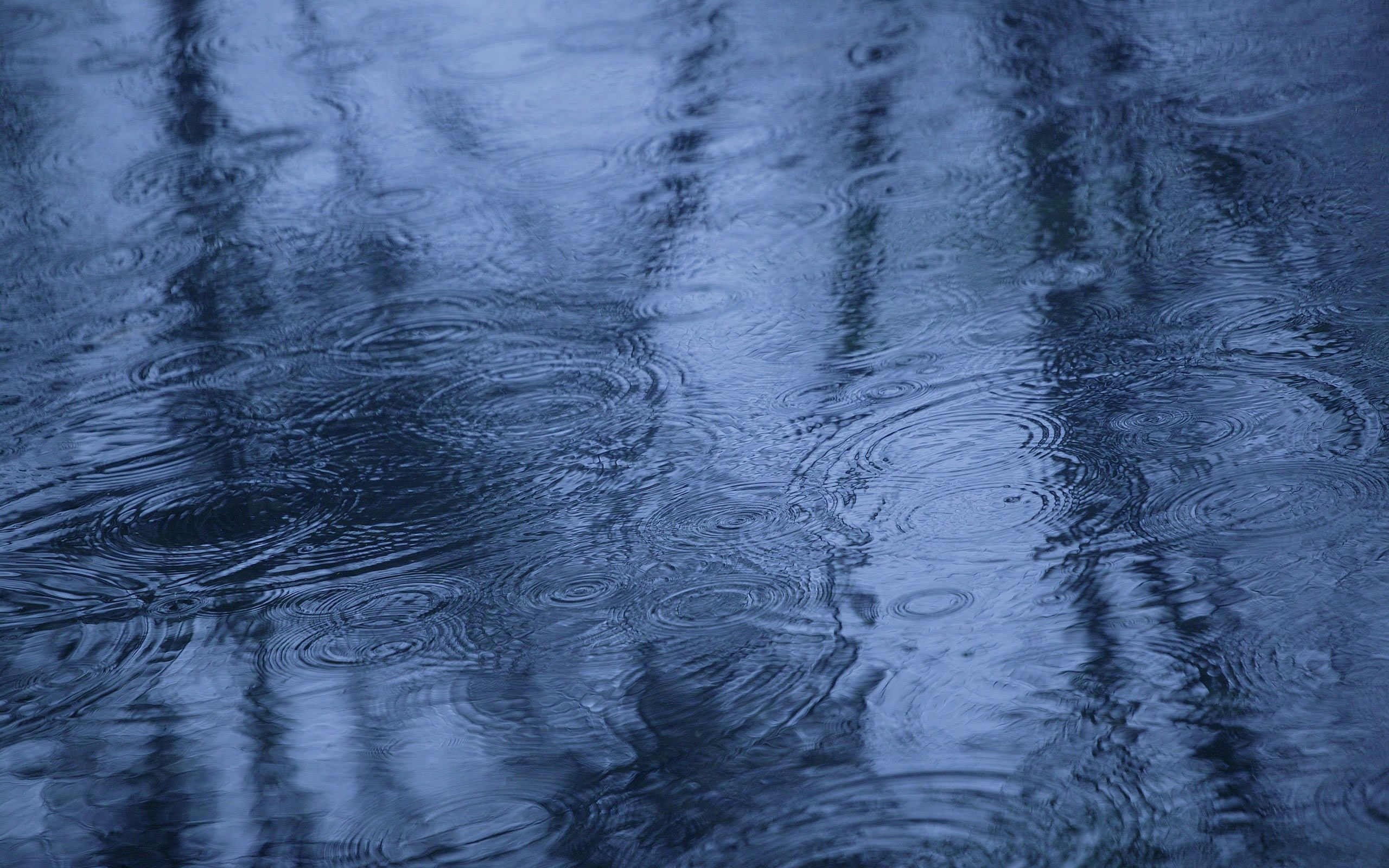 2560x1600 Regen wallpapers | Rainy day wallpaper, Rain pictures, Rain wallpapers