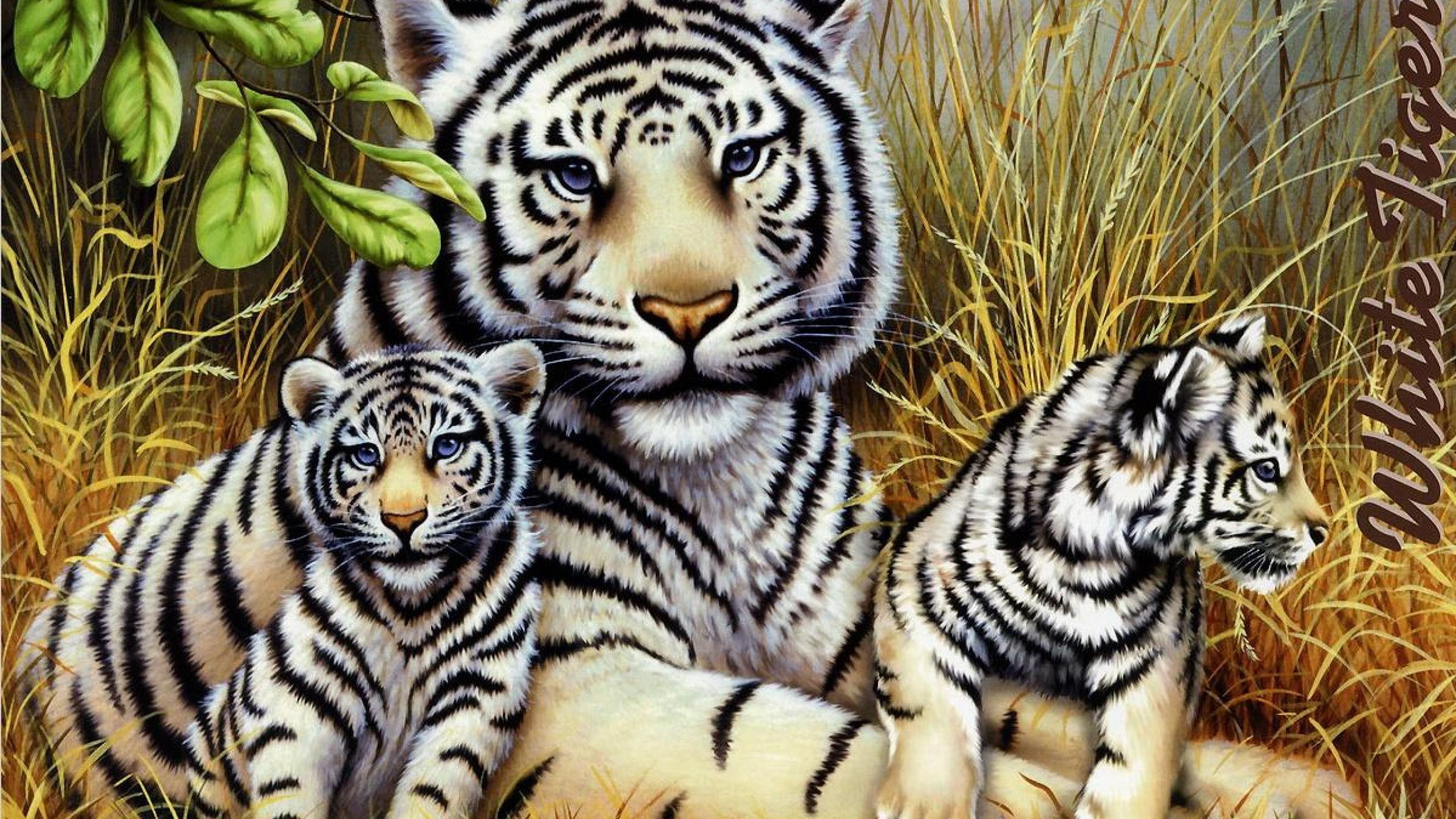 2560x1440 Tiger Family Wallpapers