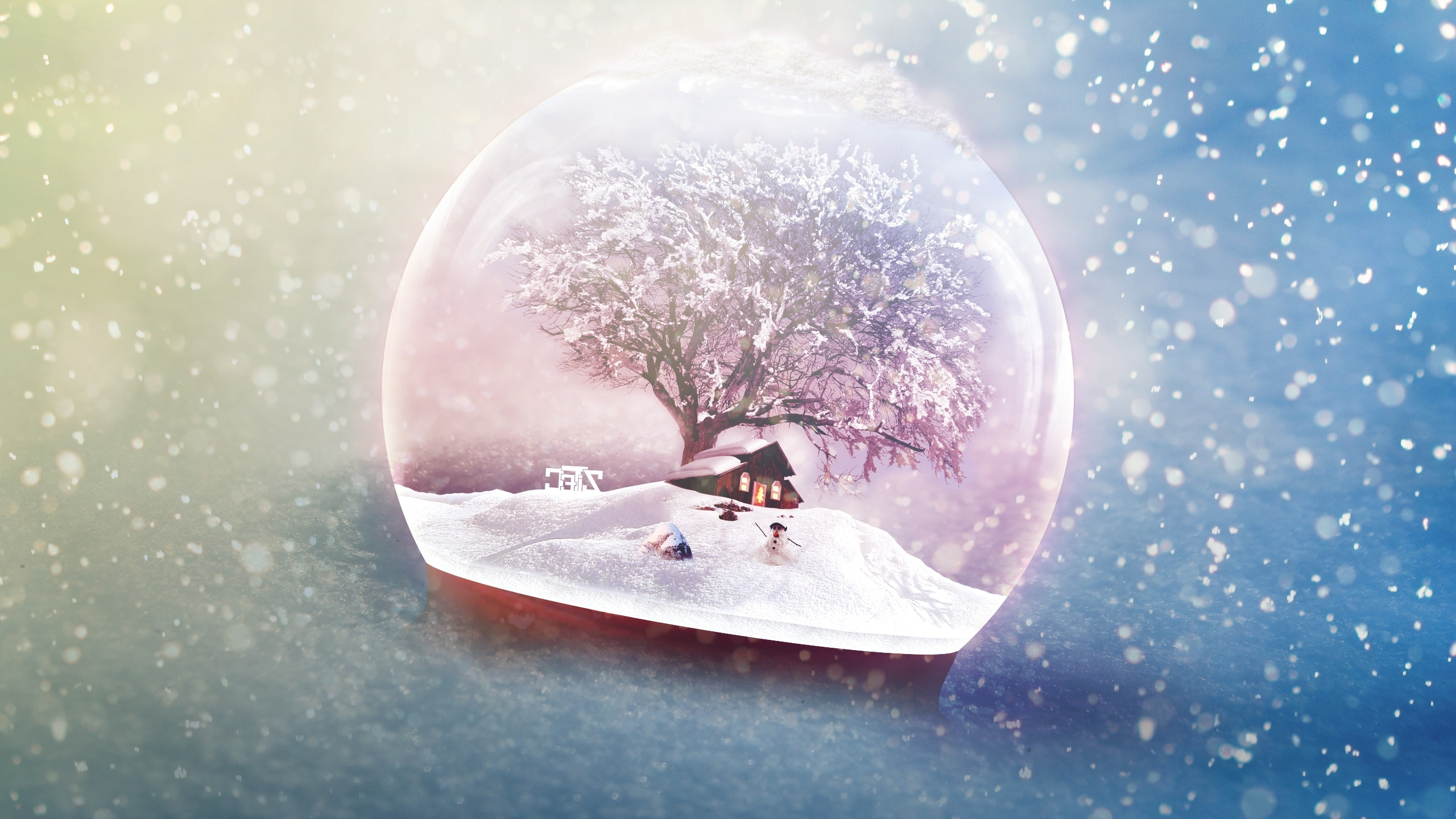 2560x1440 Wallpaper Tree, Snow Globe Resolution: Wallpx