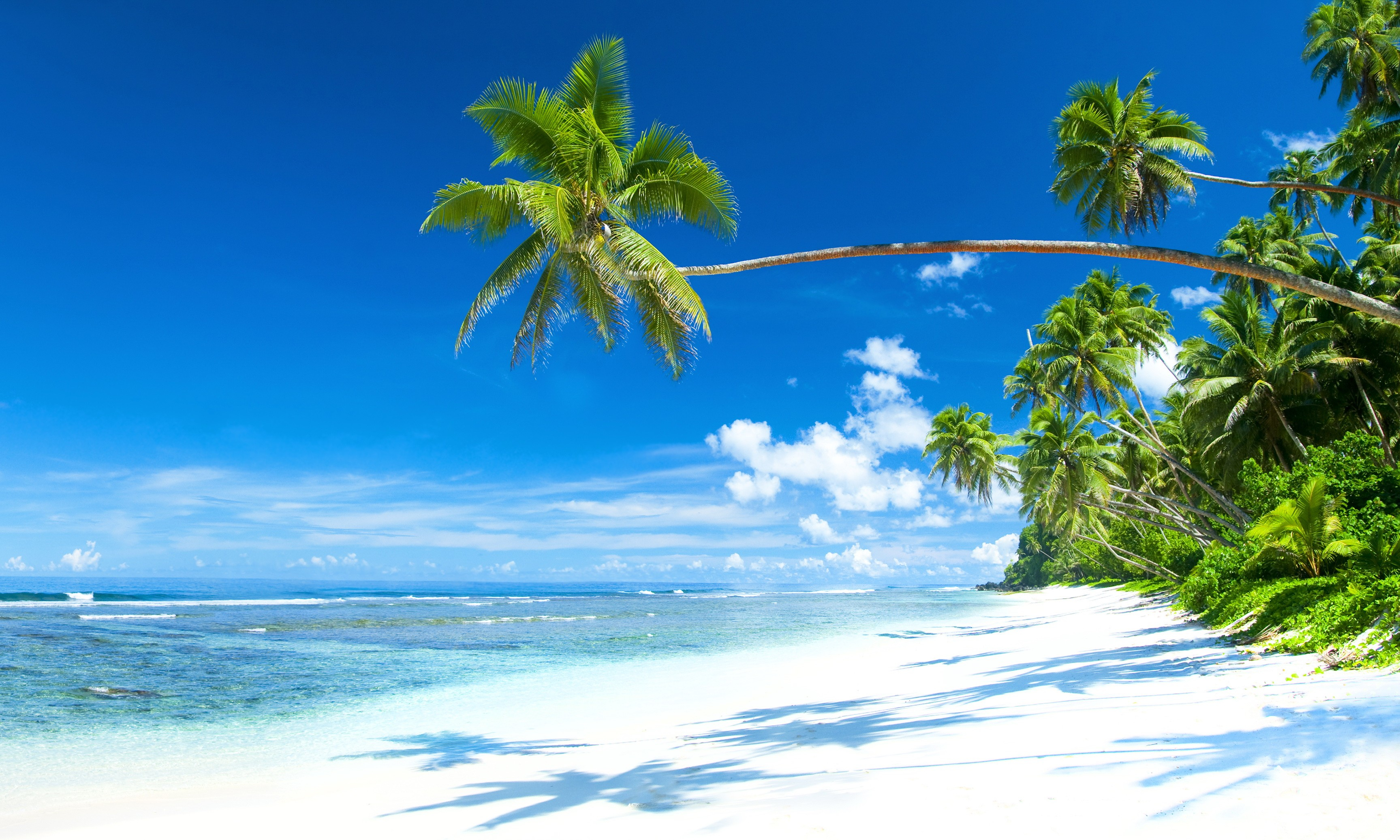 3455x2075 Tropical Coast White Sand Beach HD Background for Desktop