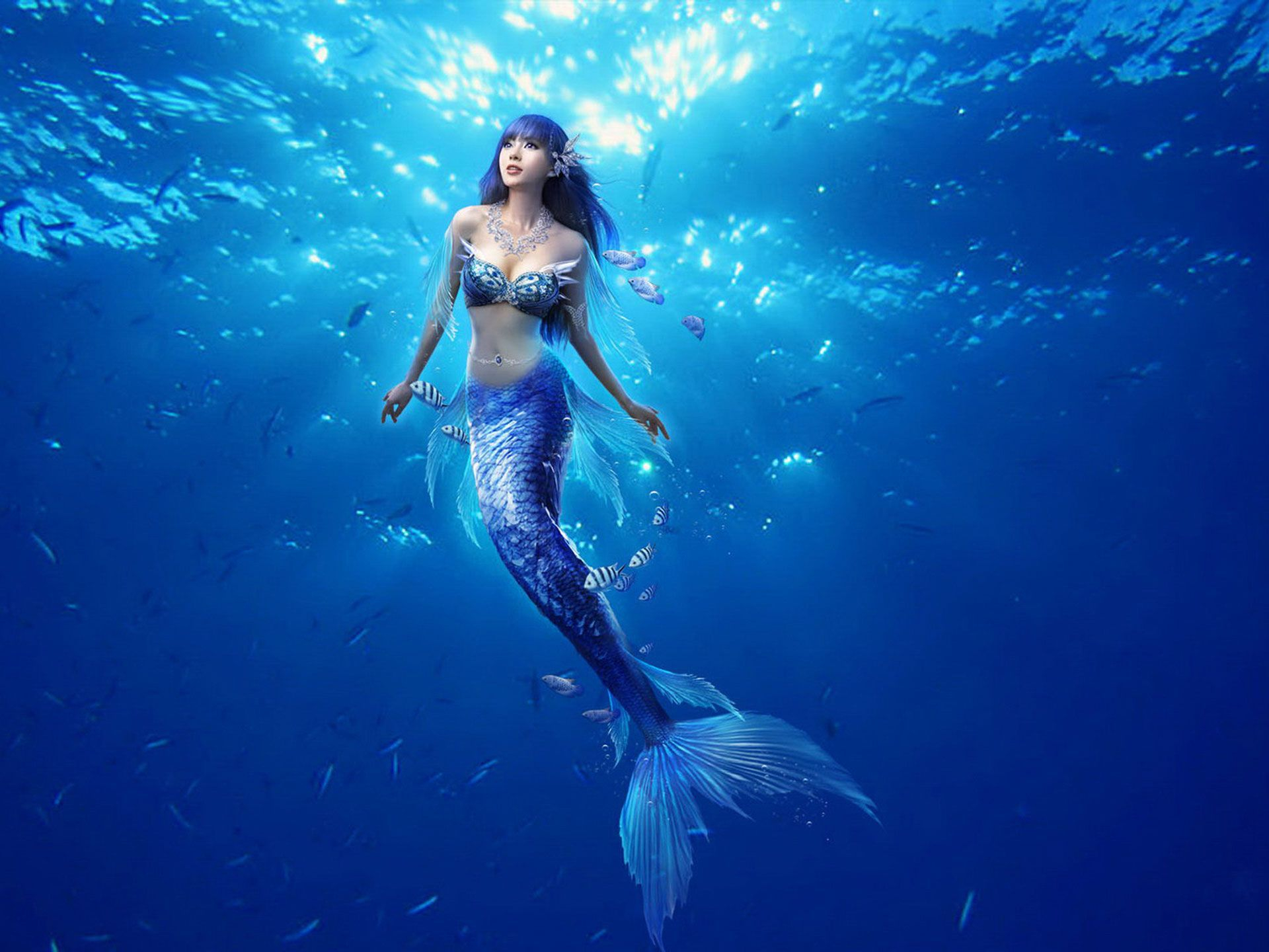 1920x1440 mermaid | Mermaid wallpapers, Beautiful mermaids, Real life mermaids