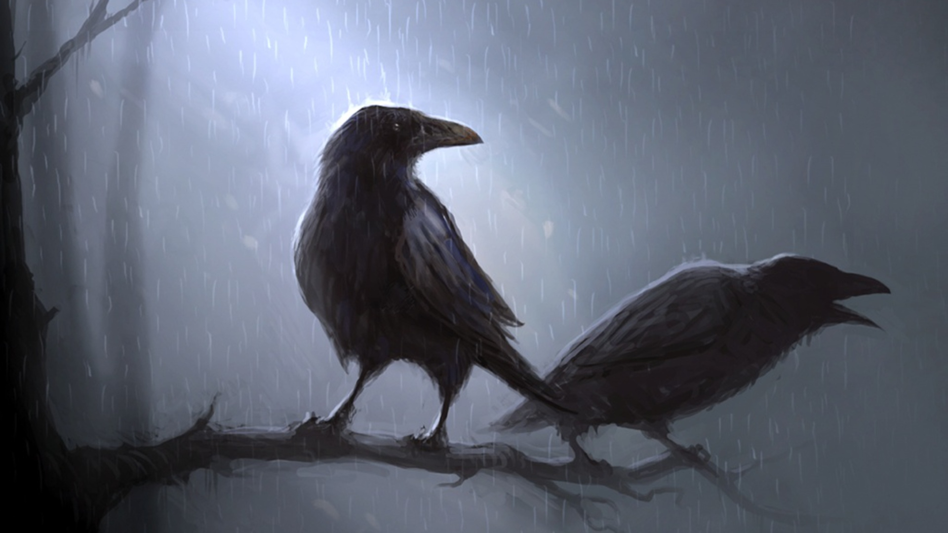 1920x1080 110+ Raven HD Wallpapers and Backgrounds