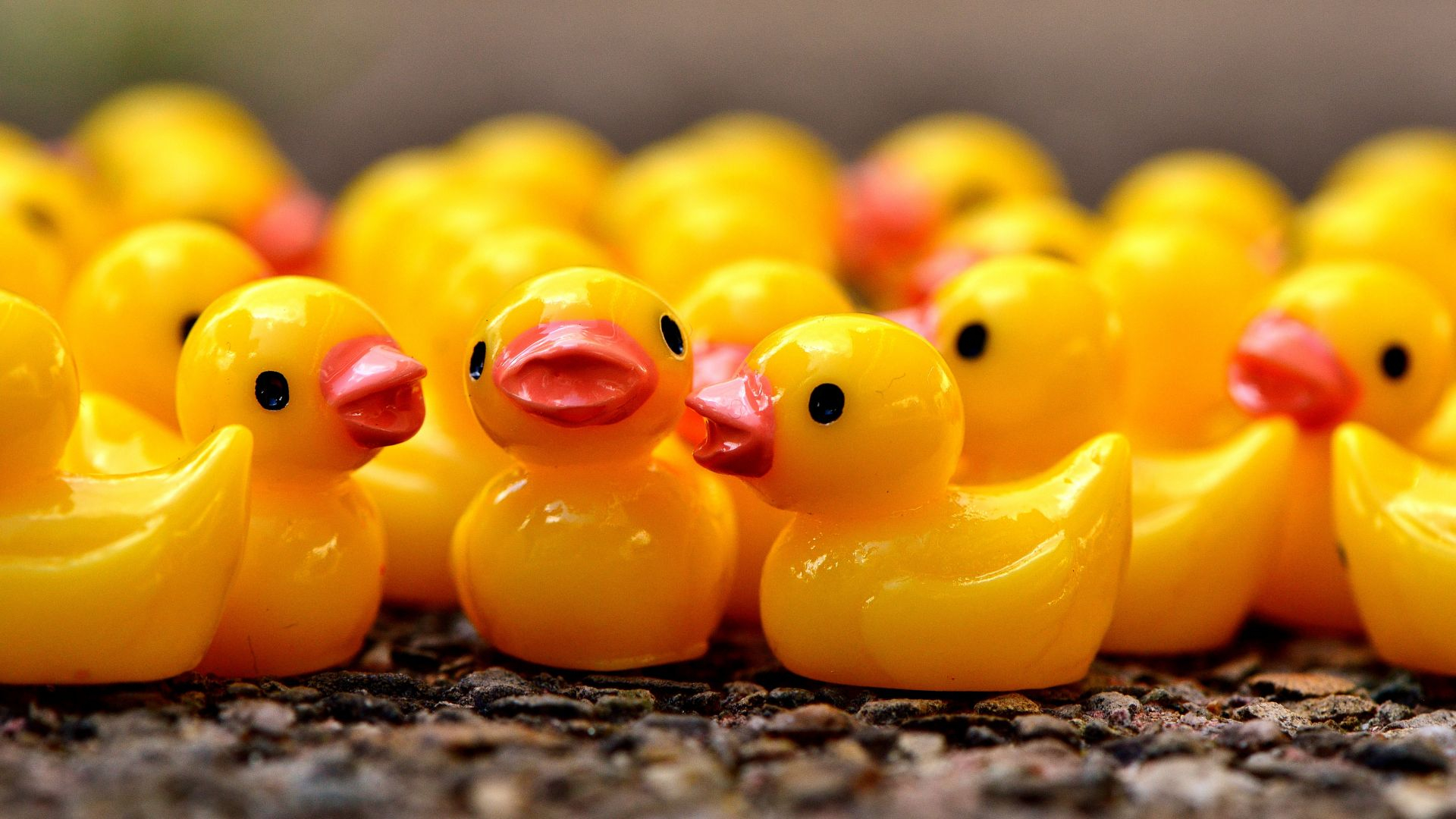 1920x1080 Desktop Wallpaper Rubber Ducks, Yellow Toys, Hd Image, Picture, Background, 8395ad