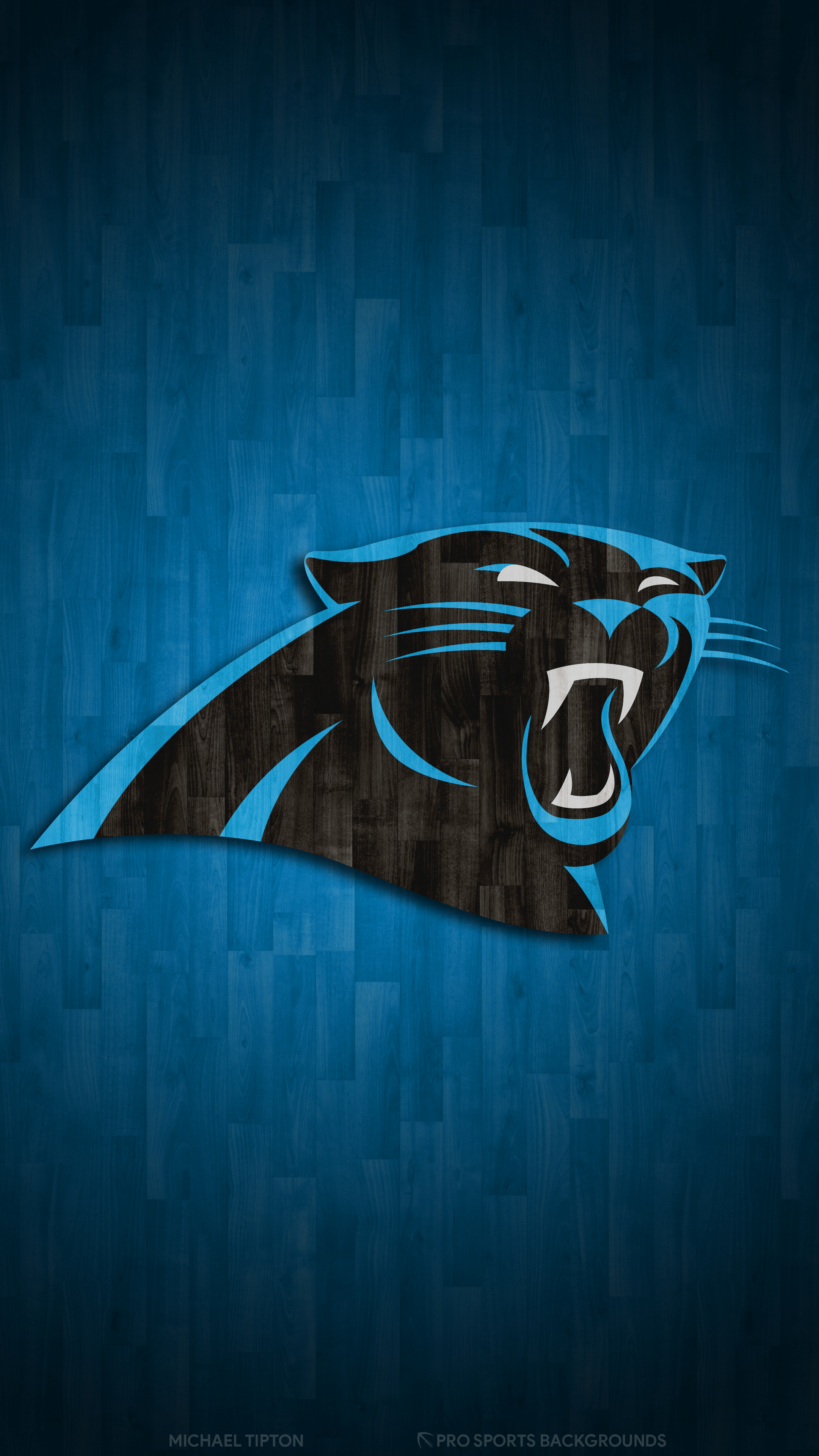 2160x3840 Panthers Logo Wallpapers Top Free Panthers Logo Backgrounds
