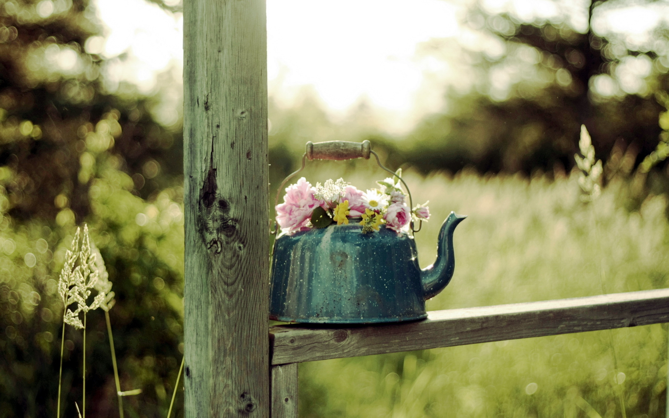 2560x1600 100+ Teapot HD Wallpapers and Backgrounds