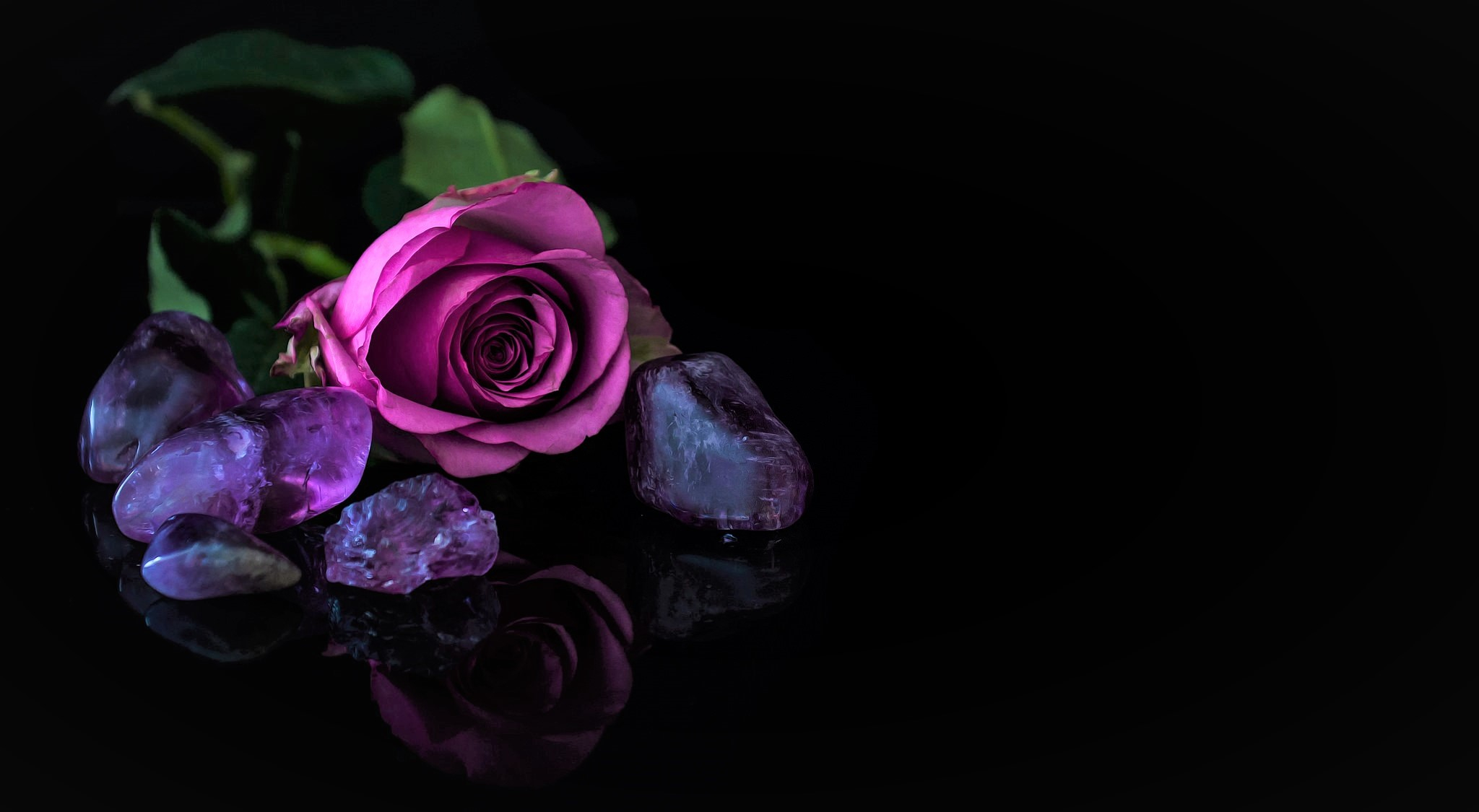 2048x1125 Purple Rose HD Wallpapers and Backgrounds