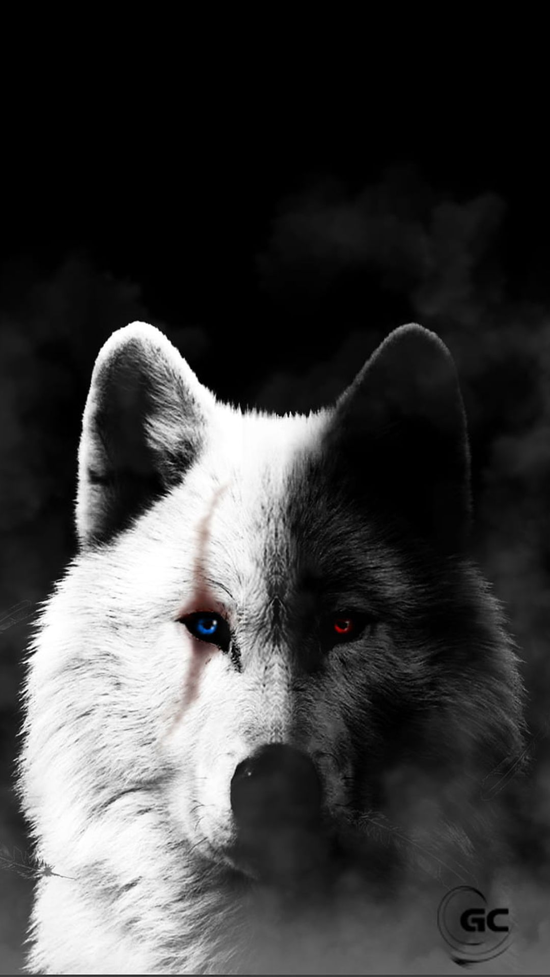 1080x1920 Top 44+ White Wolf Wallpapers [ New \u0026 Latest