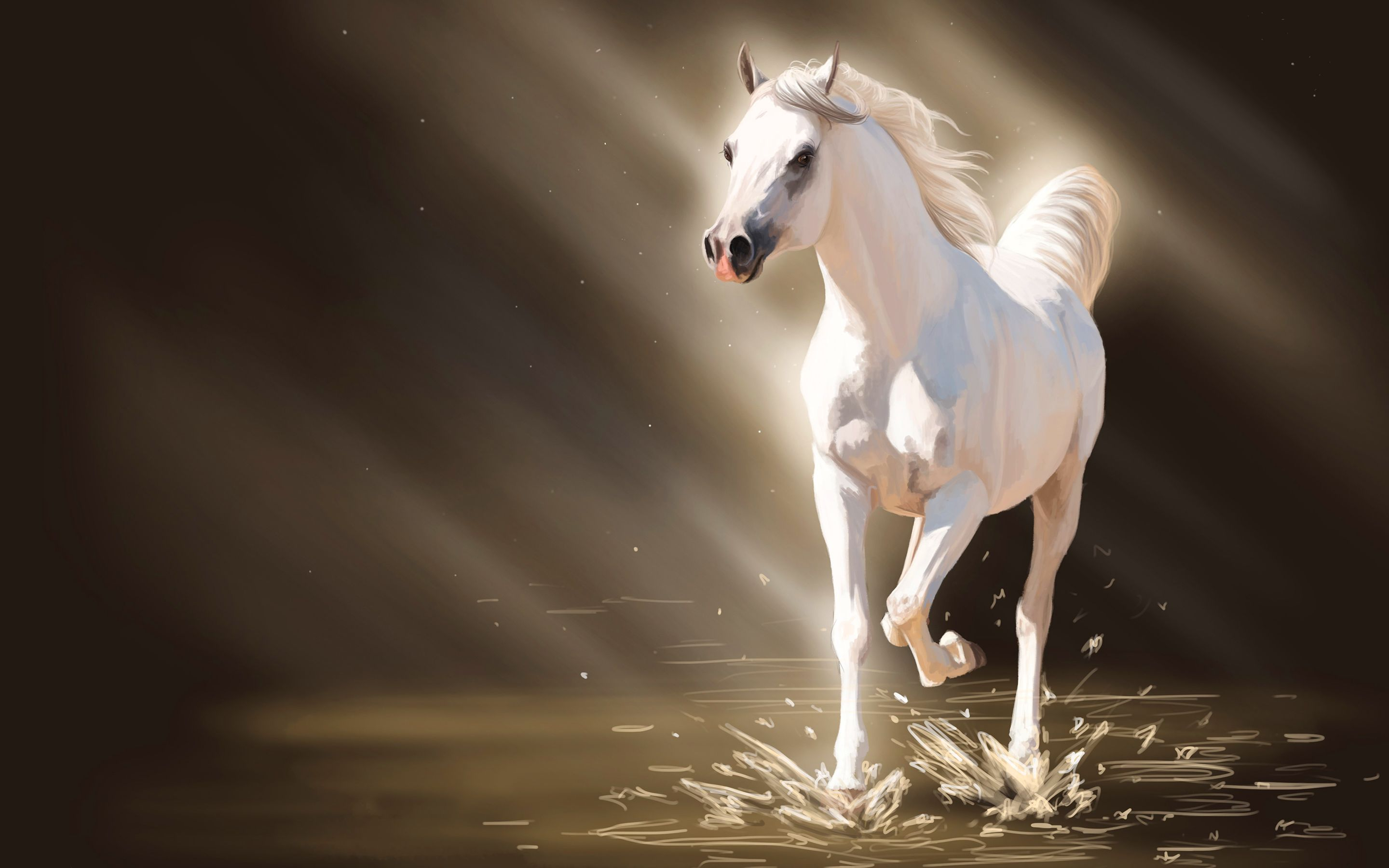 2880x1800 White horse painting Wallpapers | Pictures | White horse painting, Horses, Horse painting