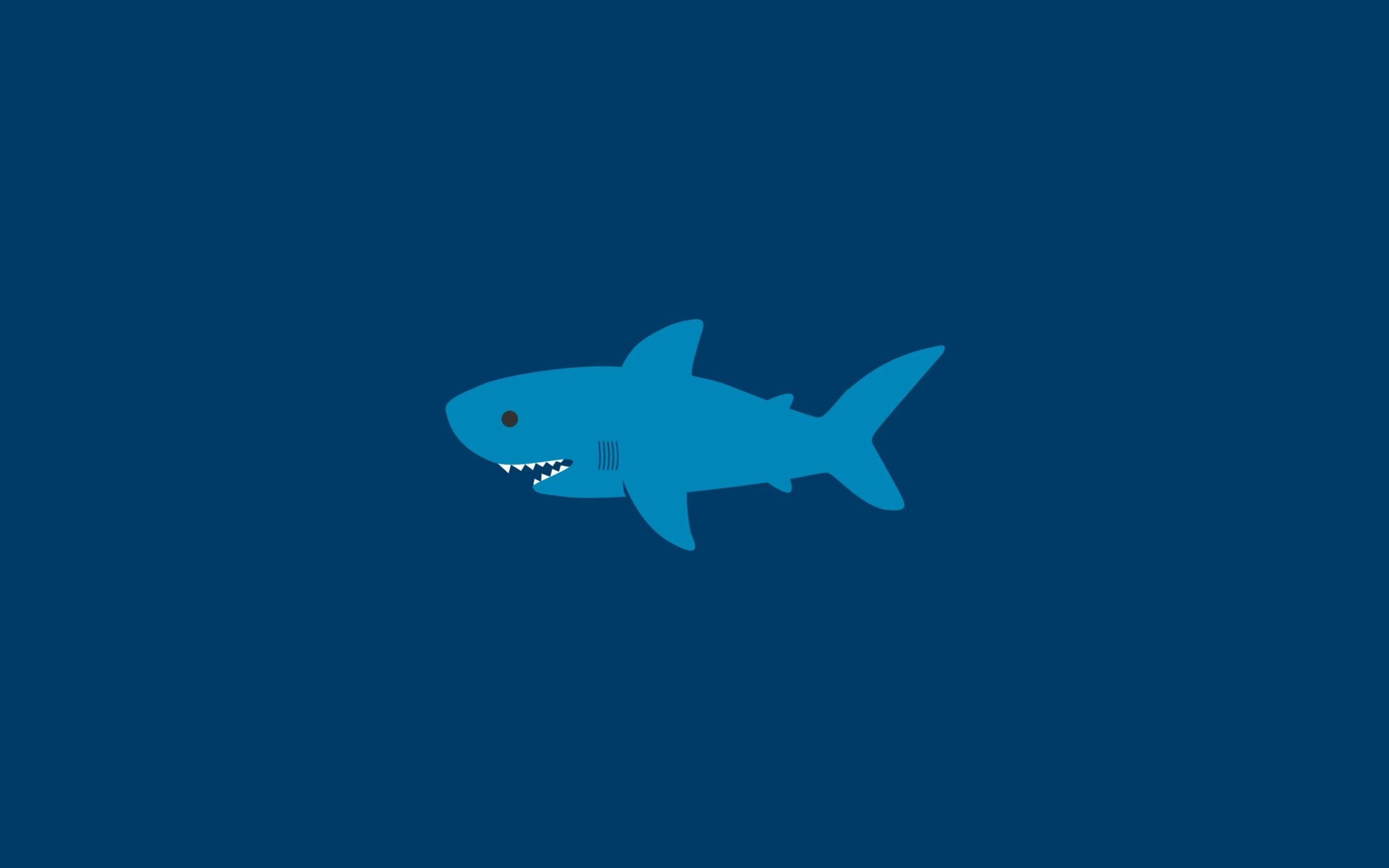 2560x1600 Cartoon Shark Wallpapers Top Free Cartoon Shark Backgrounds
