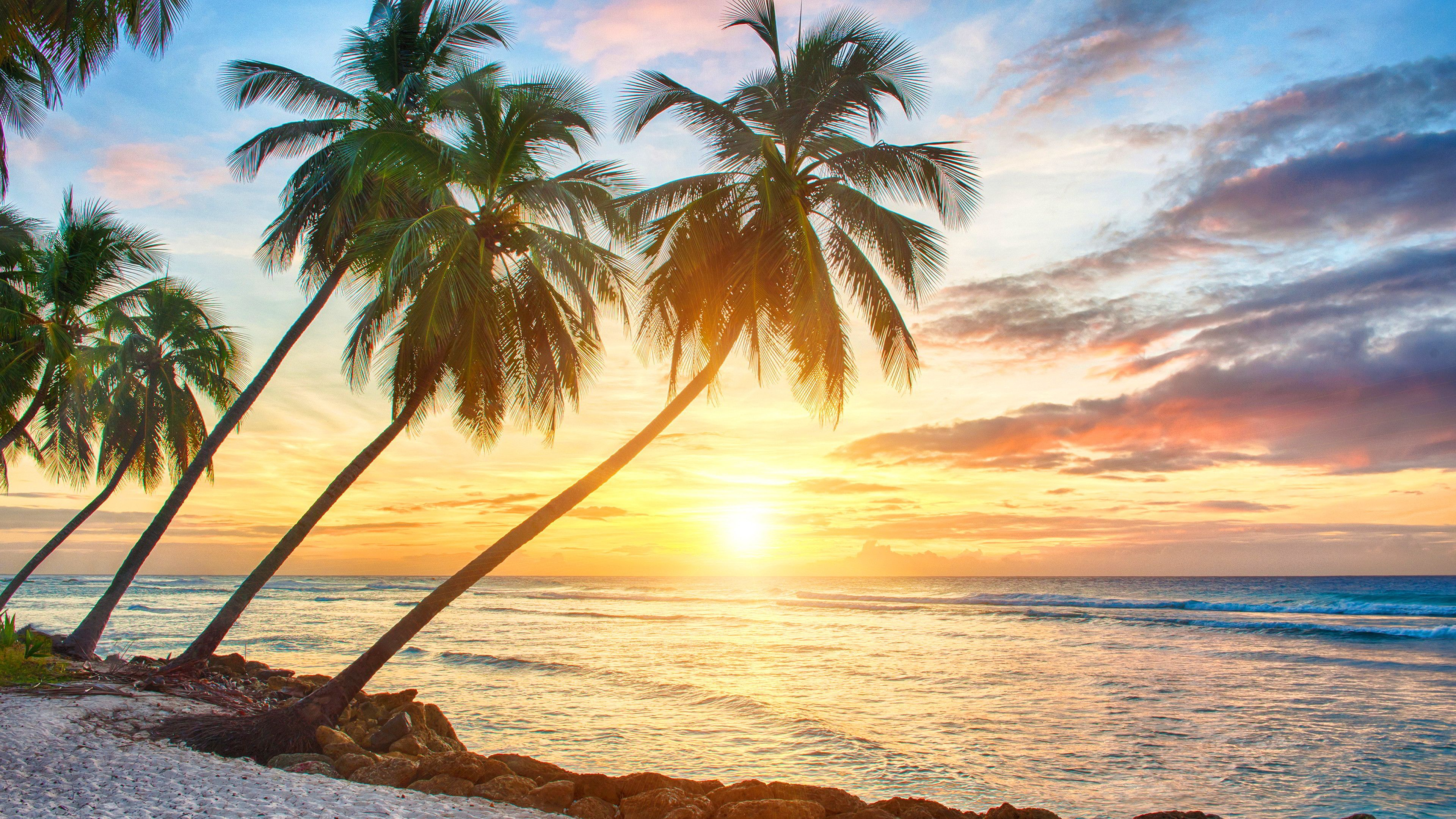 3840x2160 Tropical Island Sunset Wallpaper (58+ images) | Por do sol havaiano, Praia &Atilde;&nbsp; noite, Imagens de praia