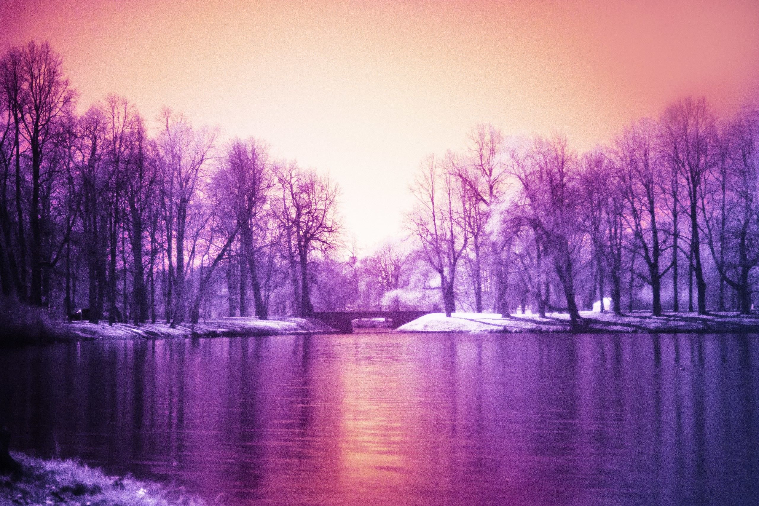 2560x1707 Purple Nature Wallpapers Top Free Purple Nature Backgrounds