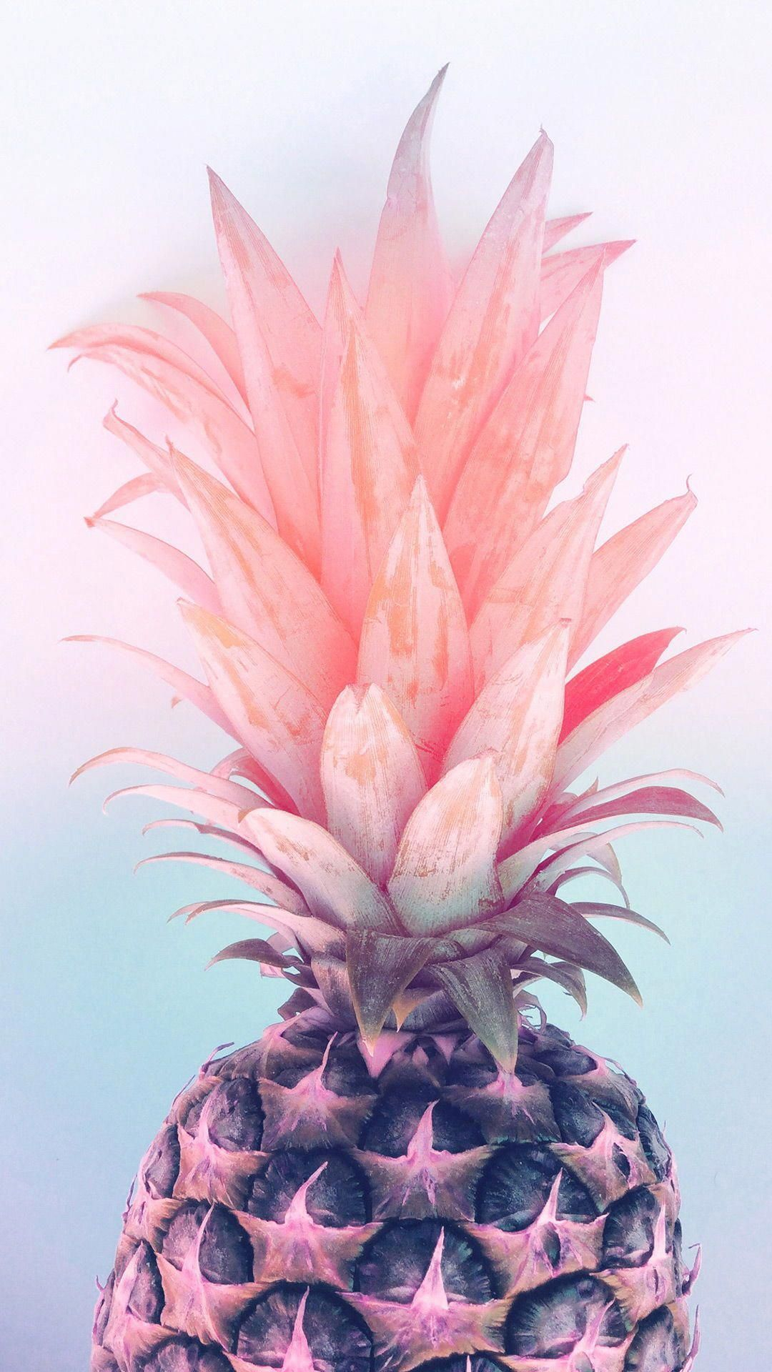 1080x1920 Pastel Pineapple Wallpapers Top Free Pastel Pineapple Backgrounds