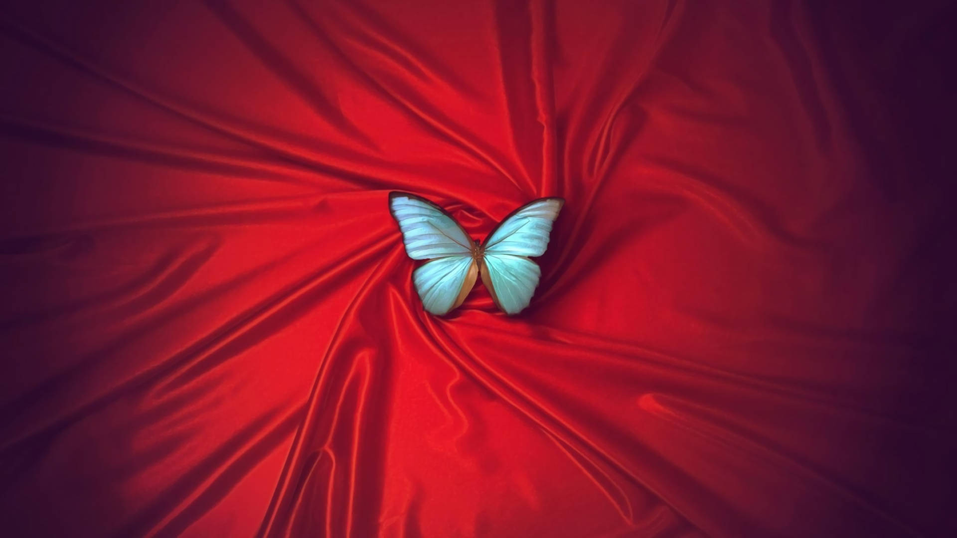 1920x1080 Download Blue Butterfly Red Satin Wallpaper