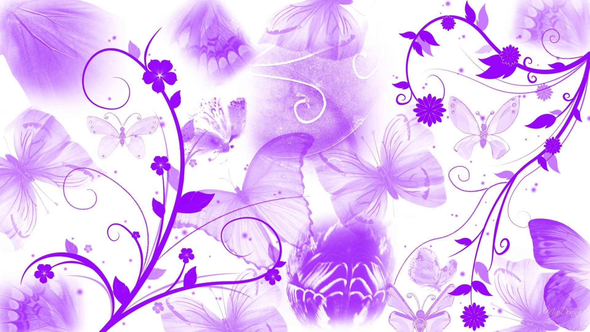1920x1080 Purple Butterfly Abstract Wallpapers Top Free Purple Butterfly Abstract Backgrounds