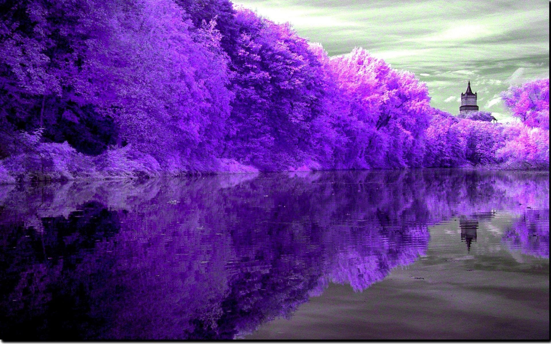 1920x1200 Purple Nature HD Desktop Wallpapers Top Free Purple Nature HD Desktop Backgrounds