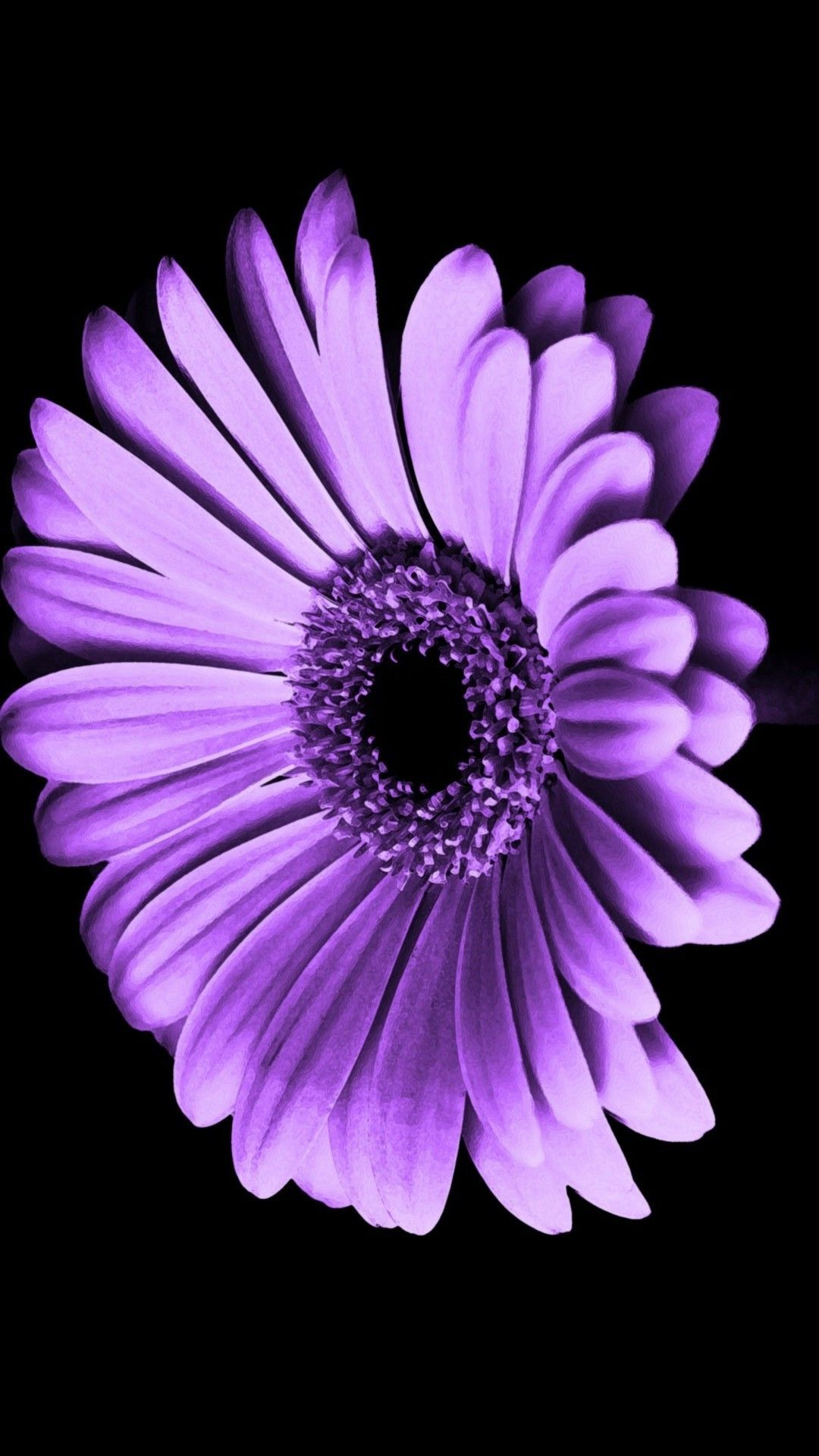 1080x1920 Purple Flowers iPhone Wallpaper HD | Best HD Wallpapers | Purple flowers wallpaper, Purple flowers, Iphone wallpaper purple flower