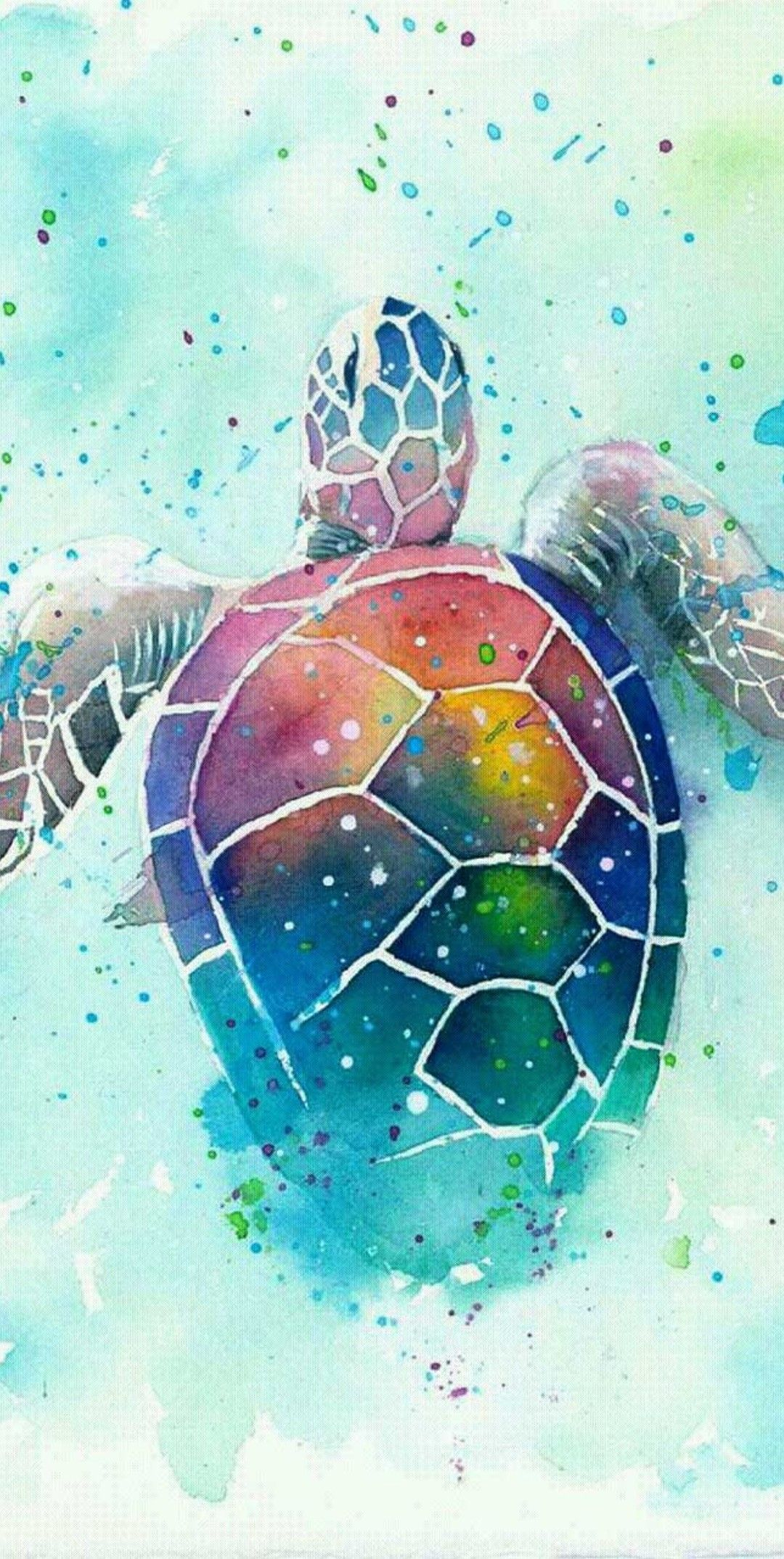 1080x2147 Turtle Art Wallpapers Top Free Turtle Art Backgrounds