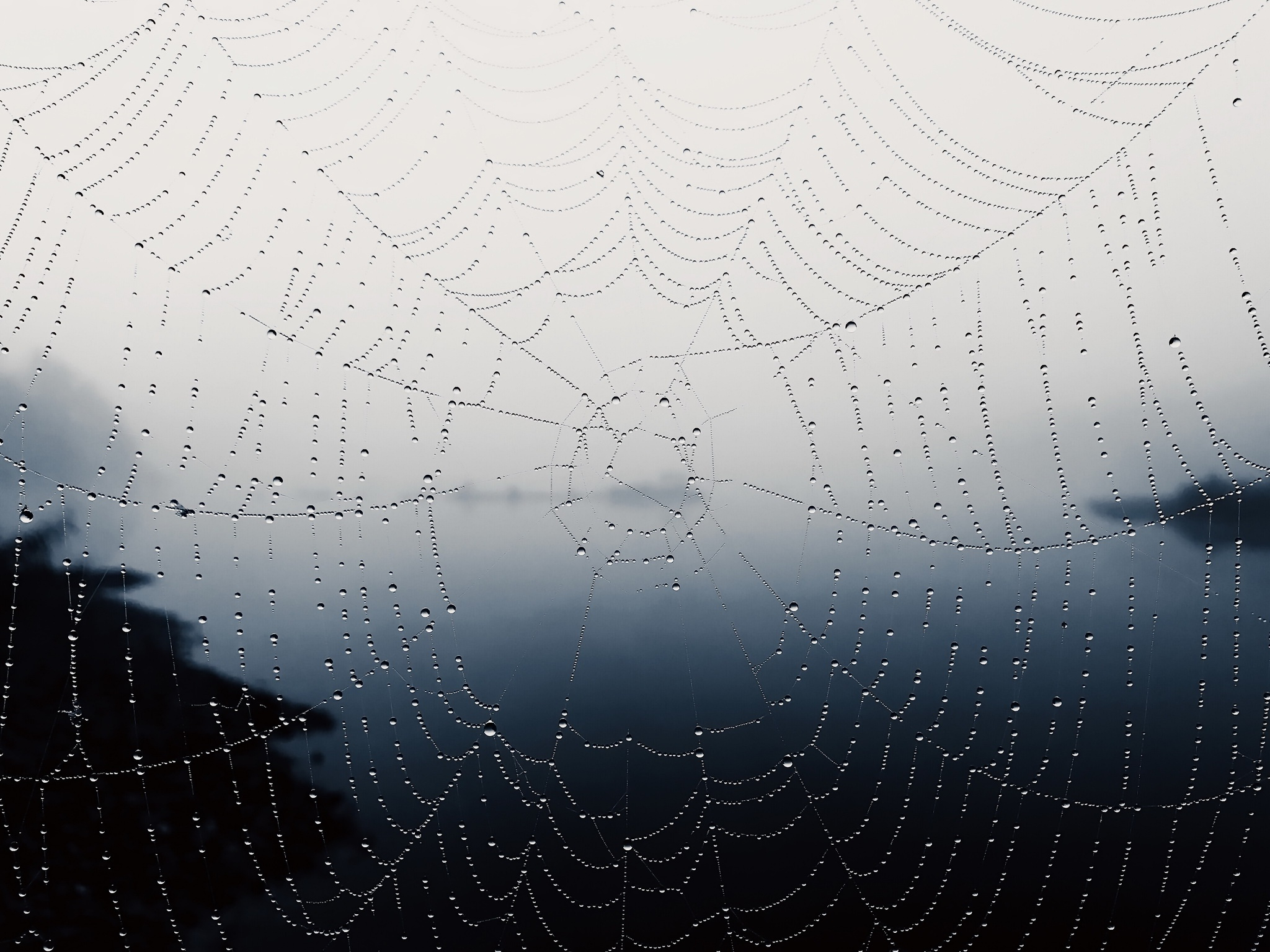 2048x1536 Spider Web, HD Photography, 4k Wallpapers, Images, Backgrounds, Photos and Pictures