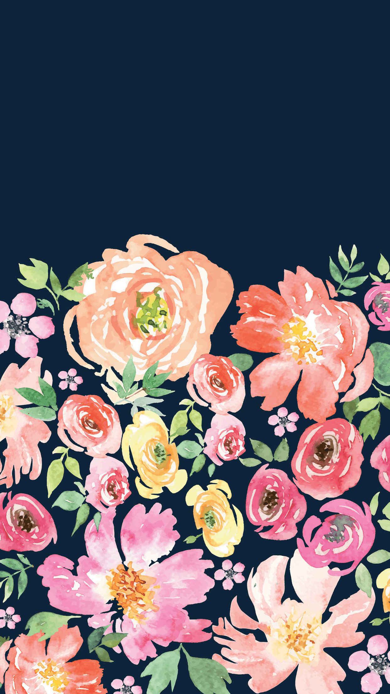 1242x2208 Pretty Flowers iPhone Wallpapers Top Free Pretty Flowers iPhone Backgrounds