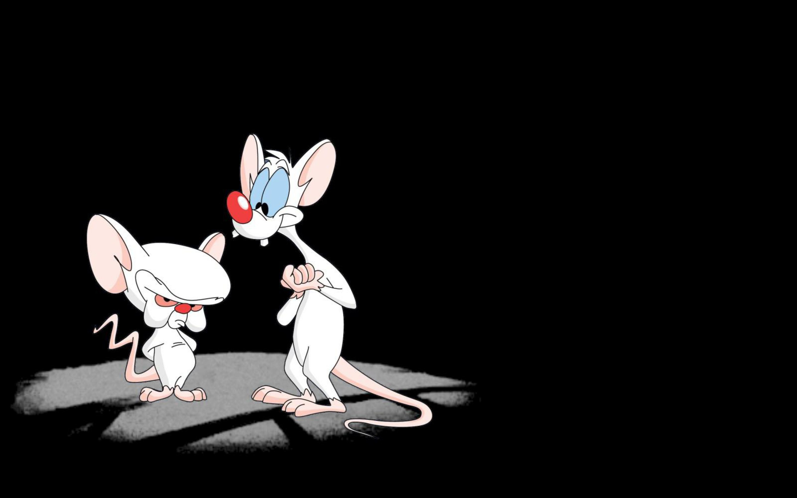 2560x1600 Free download The gallery for gt Pinky And The Brain Wallpaper Layouts [] for your Desktop, Mobile \u0026 Tablet | Explore 70+ Pinky Wallpaper | Cool Pink Wallpaper, I Love Pink Wallpaper