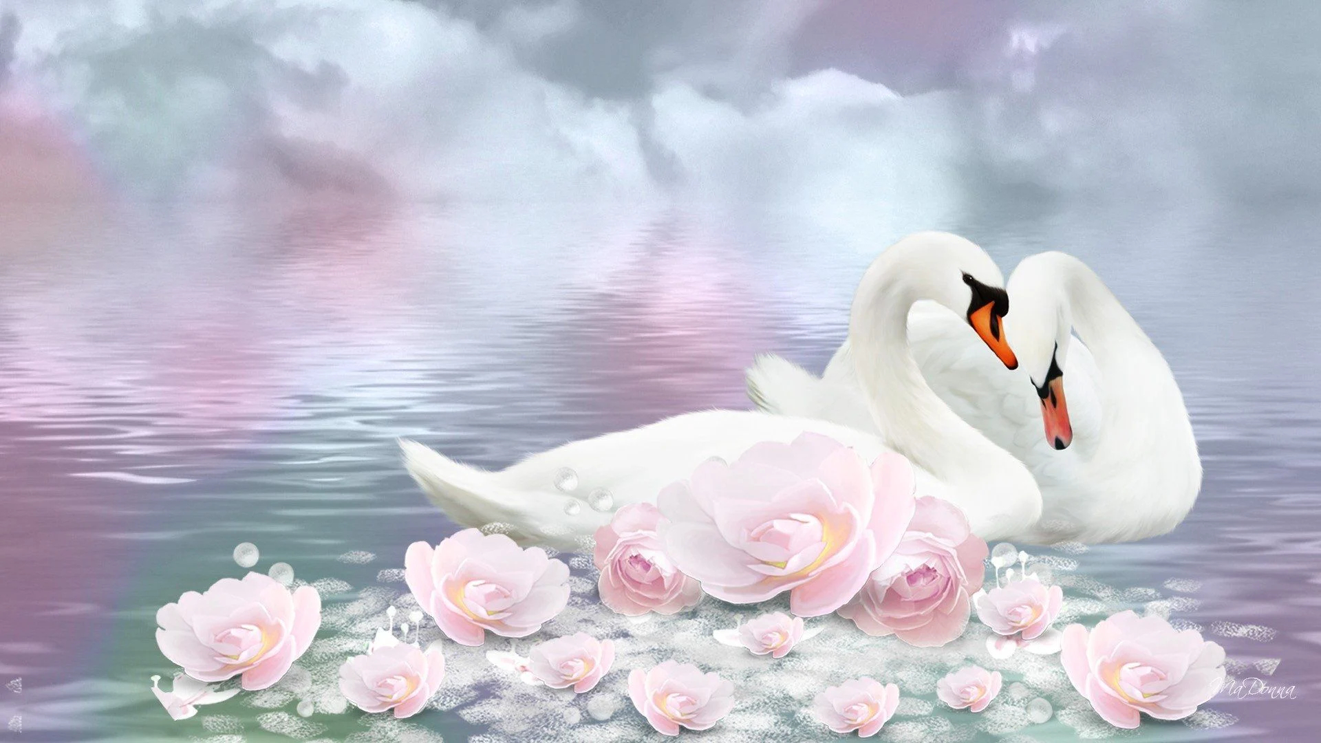 1920x1080 Swan Wallpapers Top Free Swan Backgrounds