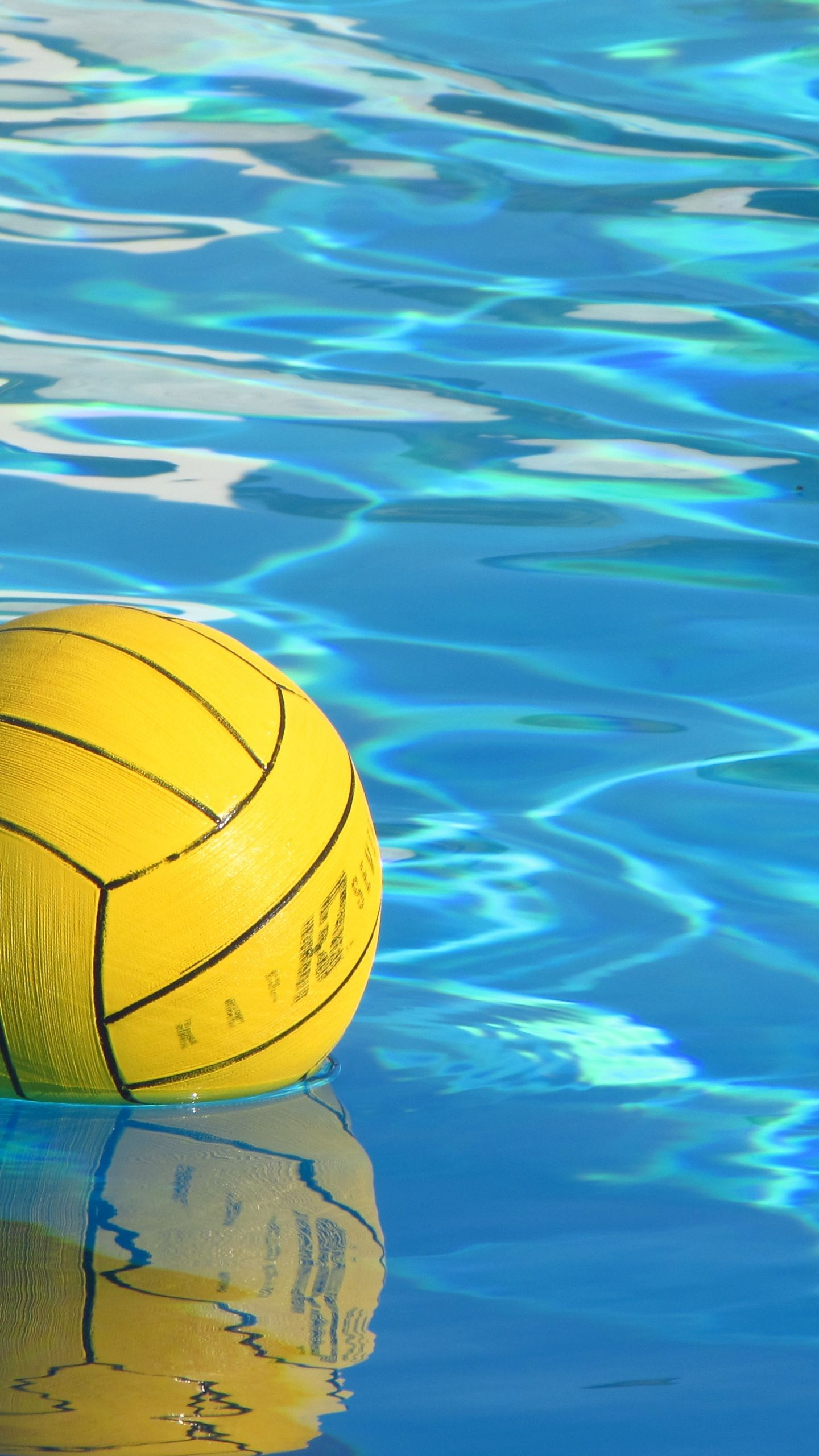 1440x2560 Waterpolo Wallpapers Top Free Waterpolo Backgrounds