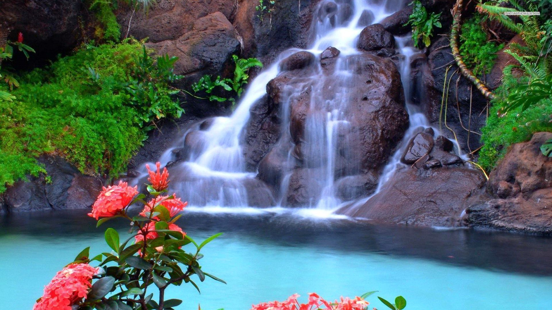 1920x1080 amazing waterfalls Pesquisa Google | Waterfall pictures, Beautiful waterfalls, Waterfall phot