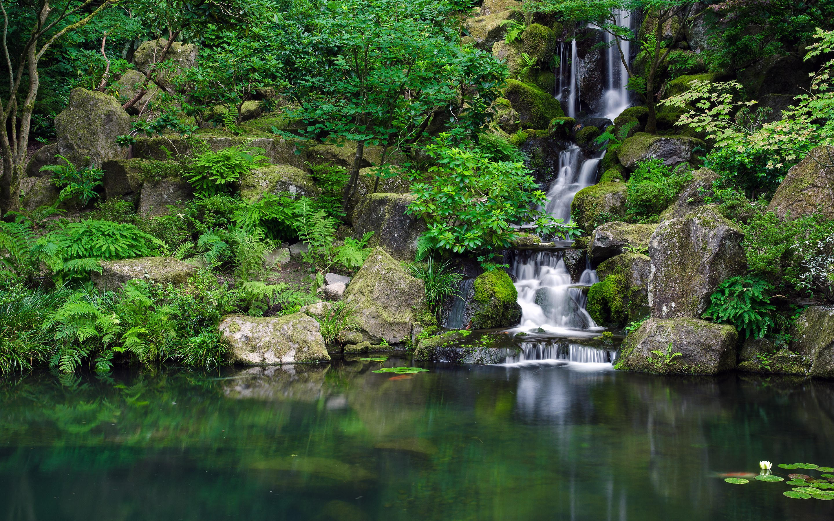 2880x1800 Waterfall Jungle Forest Pond Trees Wallpaper [