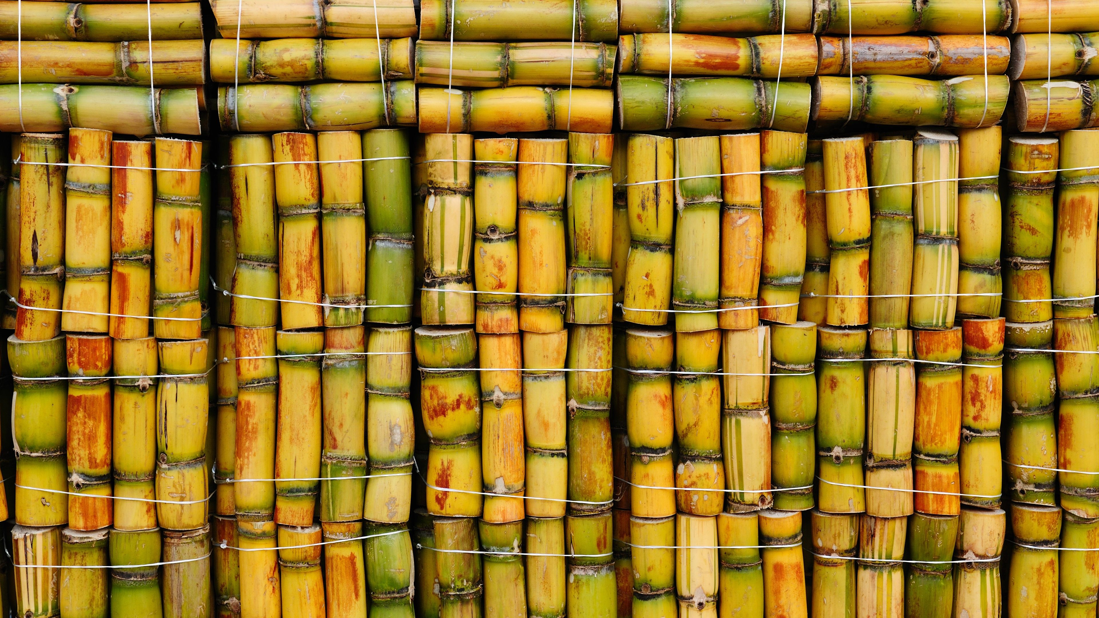 3840x2160 Sugar Cane Wallpapers Top Free Sugar Cane Backgrounds