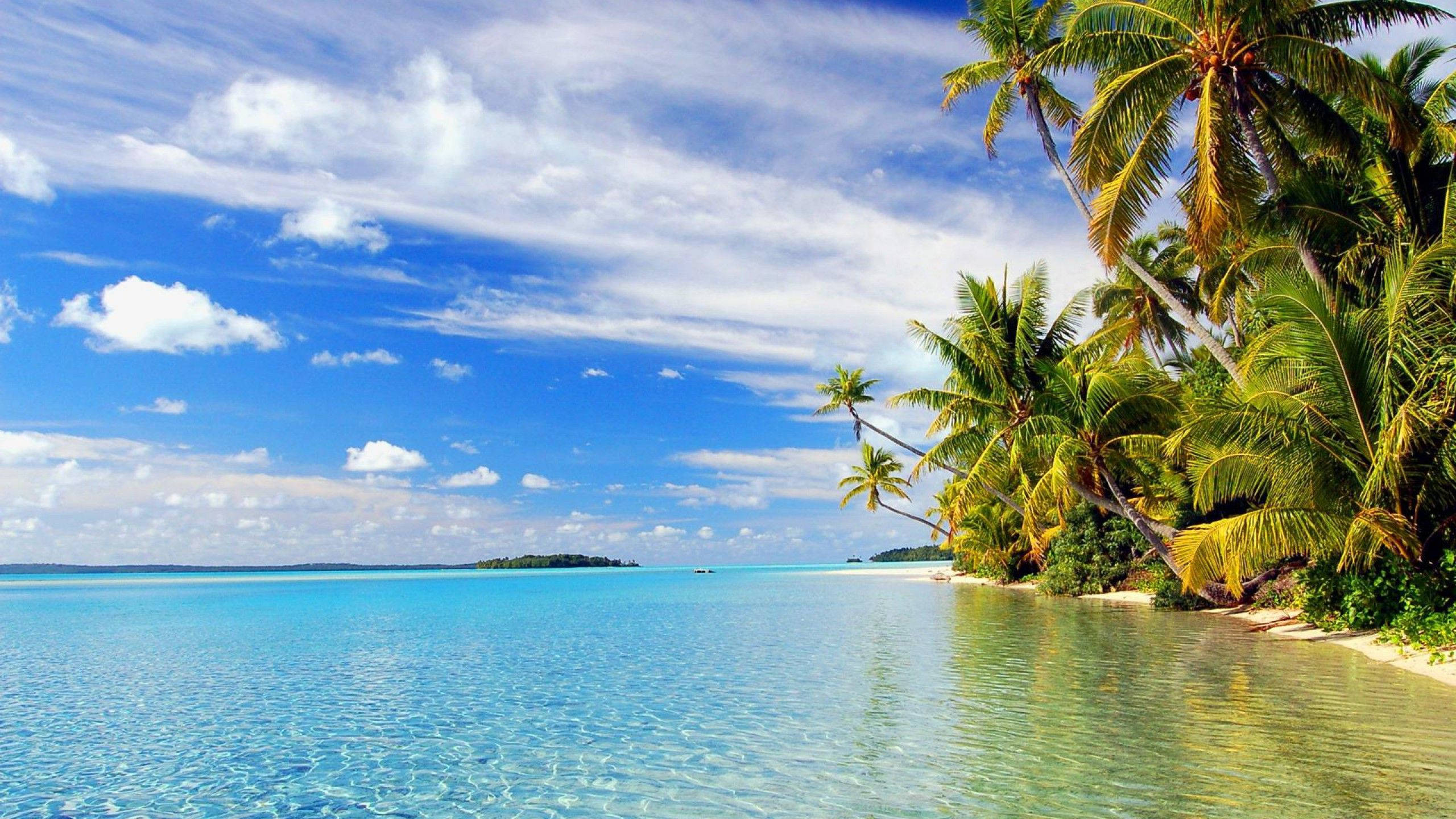 2560x1440 Download Tropical Beach Island Wallpaper