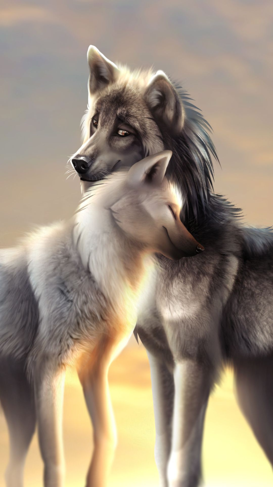 1080x1920 Wolf Wallpapers 25 Top Free Download Wolf Wallpapers
