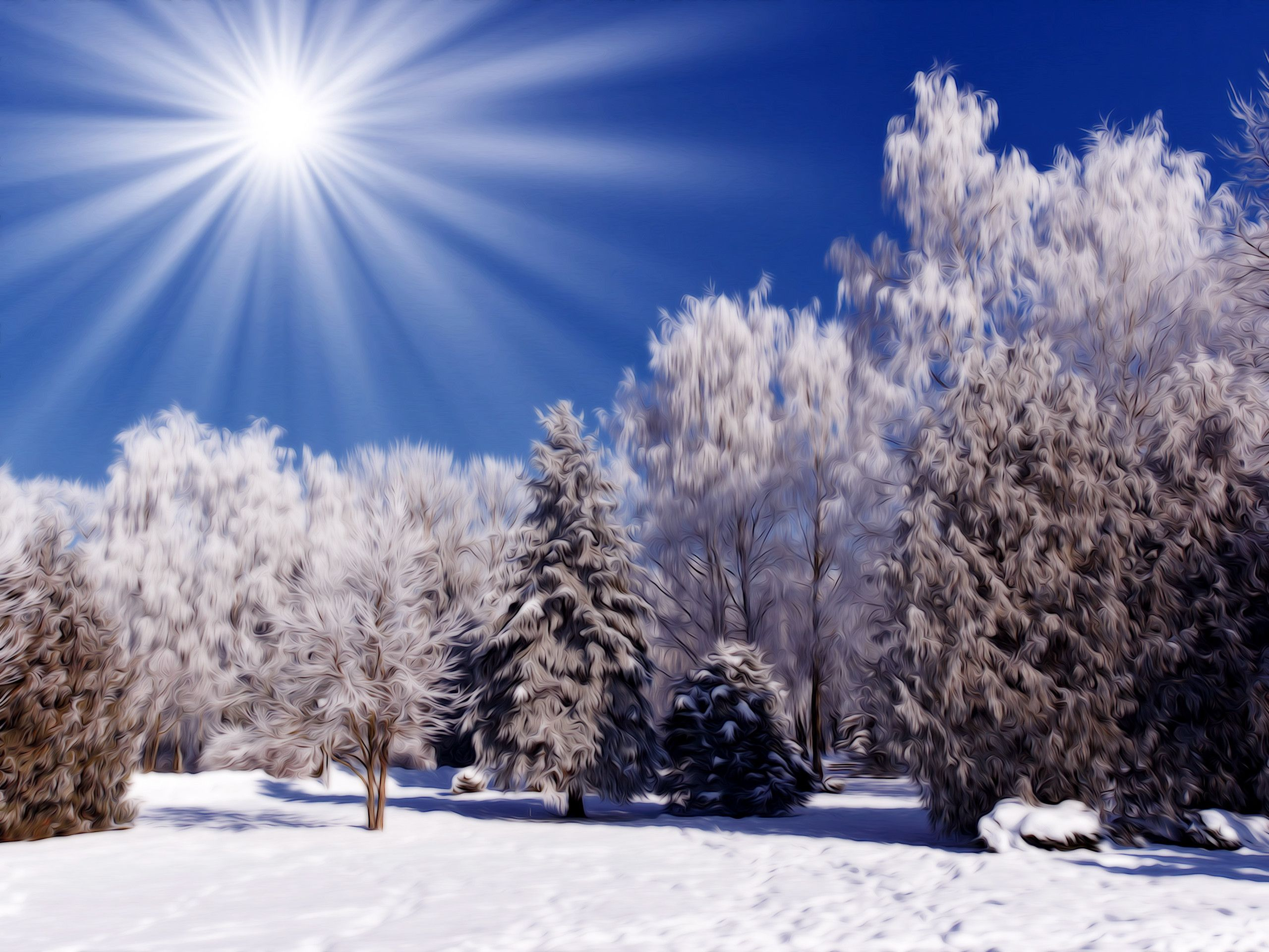 2560x1920 Free Desktop Wallpapers Winter Scenes | Winter landscape photography, Winter landscape, Winter photography