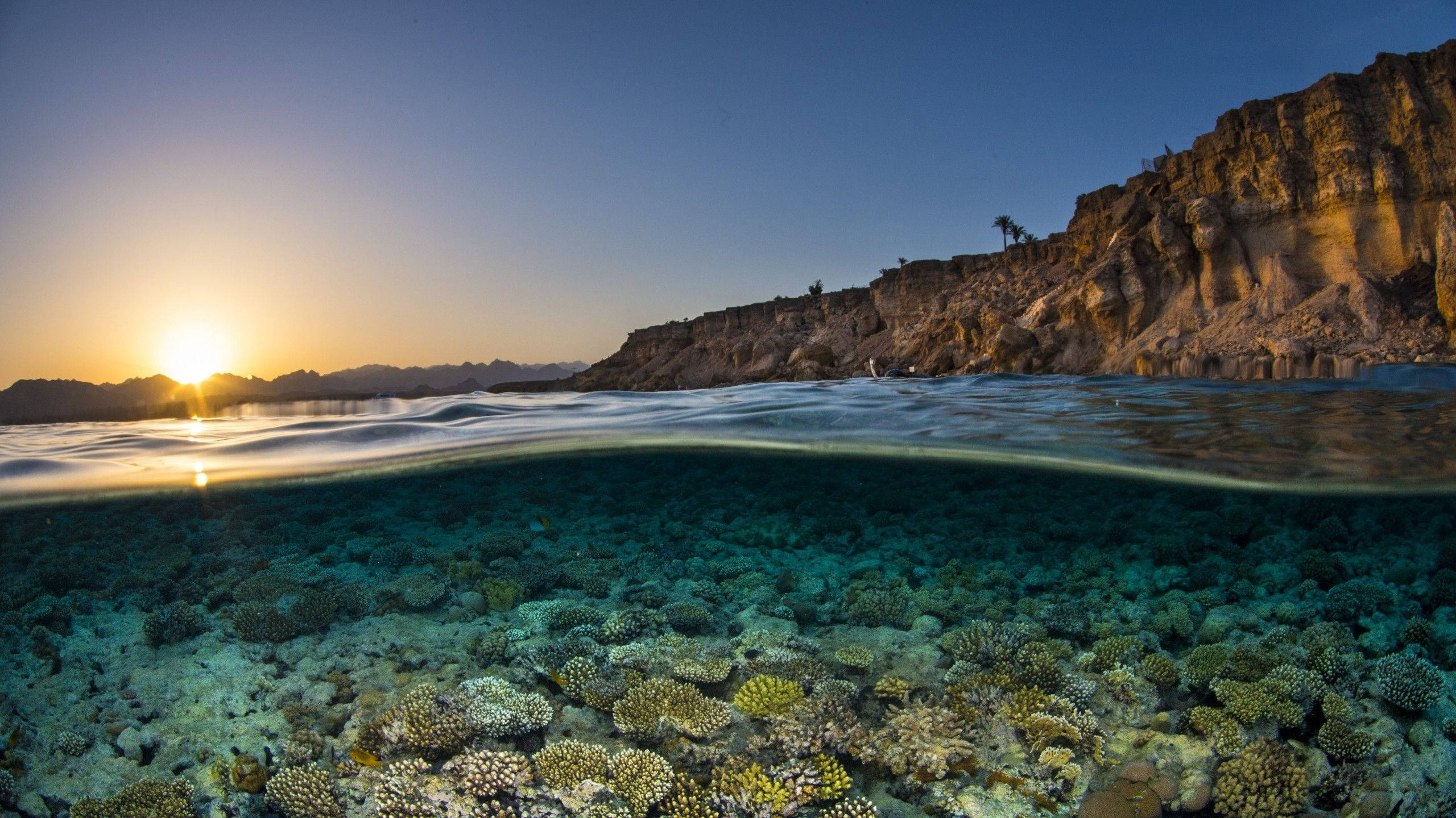 2560x1440 Download Underwater Ocean And Sunset Wallpaper