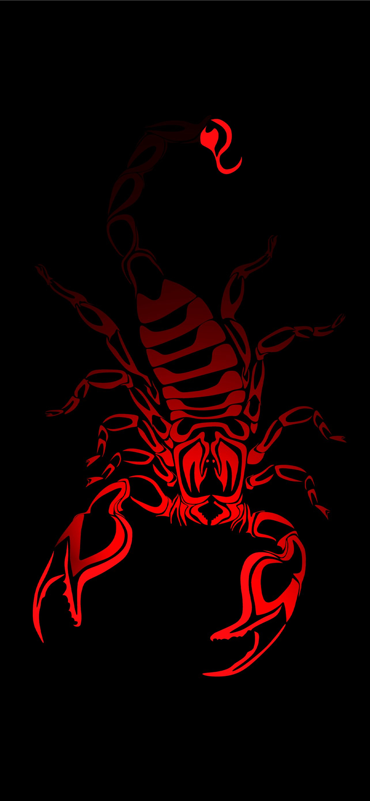 1284x2778 Best Scorpion arachnids iPhone HD Wallpapers
