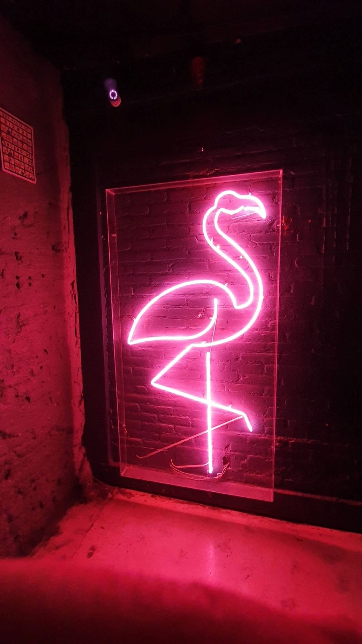 1215x2160 Download Neon Pink Aesthetic Flamingo Light Wallpaper