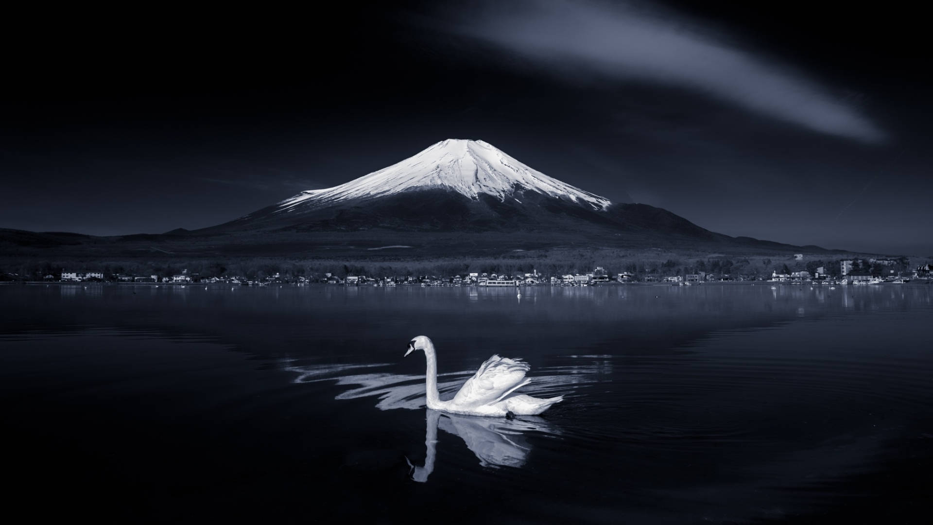 1920x1080 Download Swan On Lake Japanese Nature Wallpaper