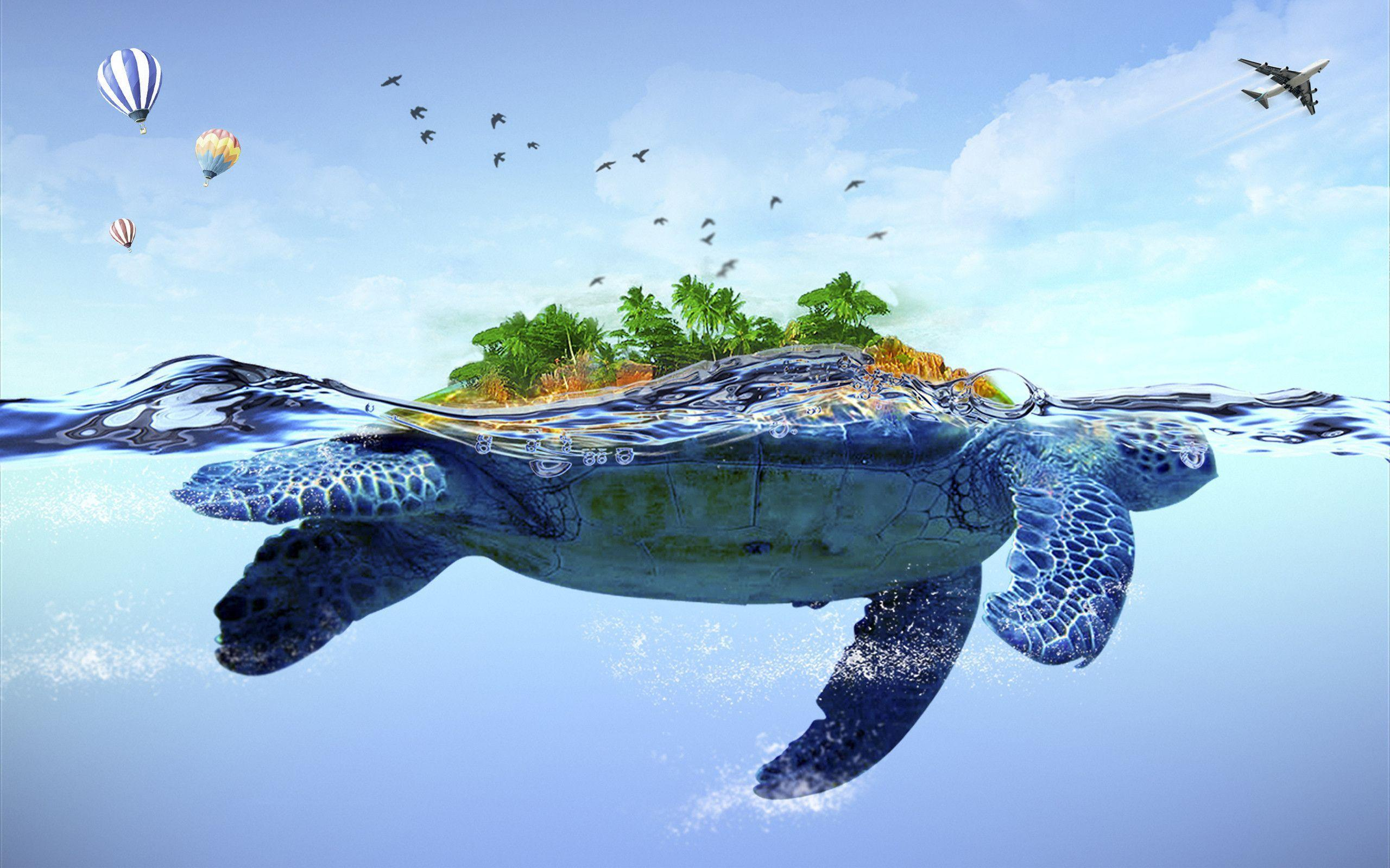 2560x1600 Turtle Wallpapers