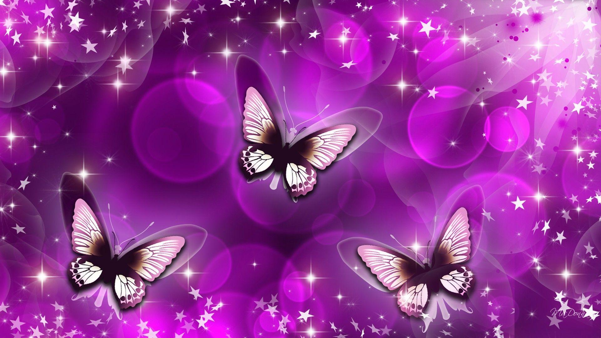 1920x1080 Purple Butterfly Wallpapers Top Free Purple Butterfly Backgrounds