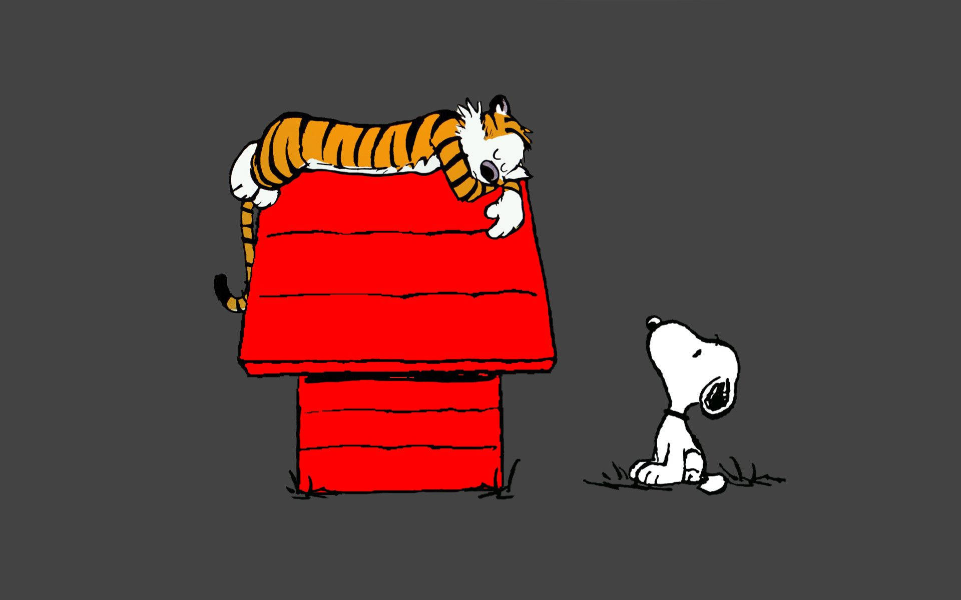 1920x1200 Download Snoopy Wallpaper