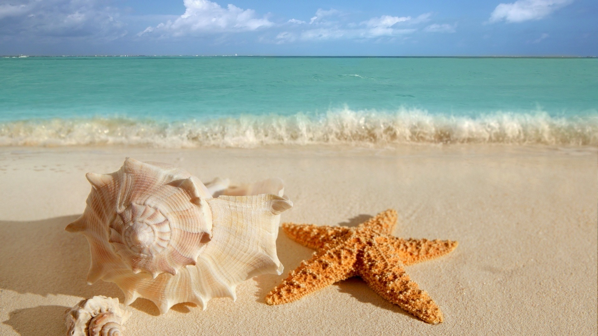 1920x1080 seashells-wallpaper-starfish-sea-ocean-waves-water-sand-beach | Irini Rooms