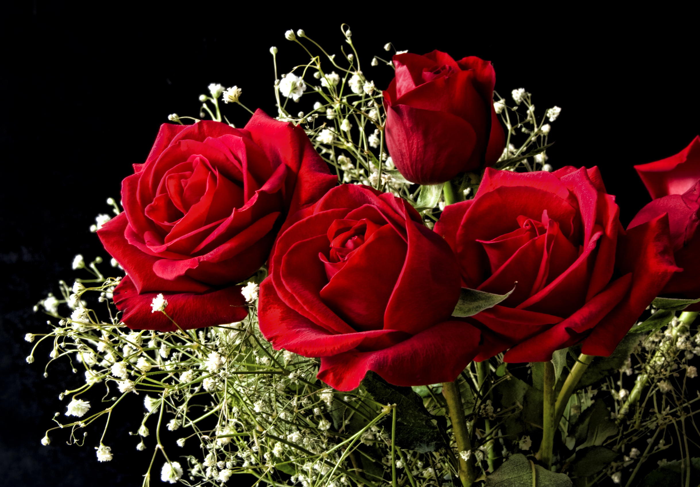 2436x1695 roses, Red, Flowers, Bouquet Wallpapers HD / Desktop and Mobile Backgrounds