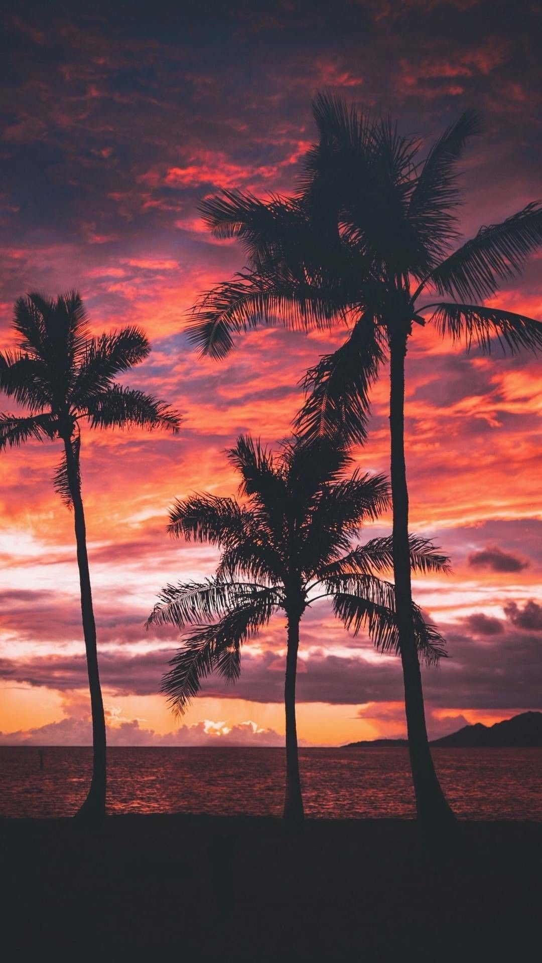 1080x1920 Palm Tree Sunset Wallpapers Top Free Palm Tree Sunset Backgrounds