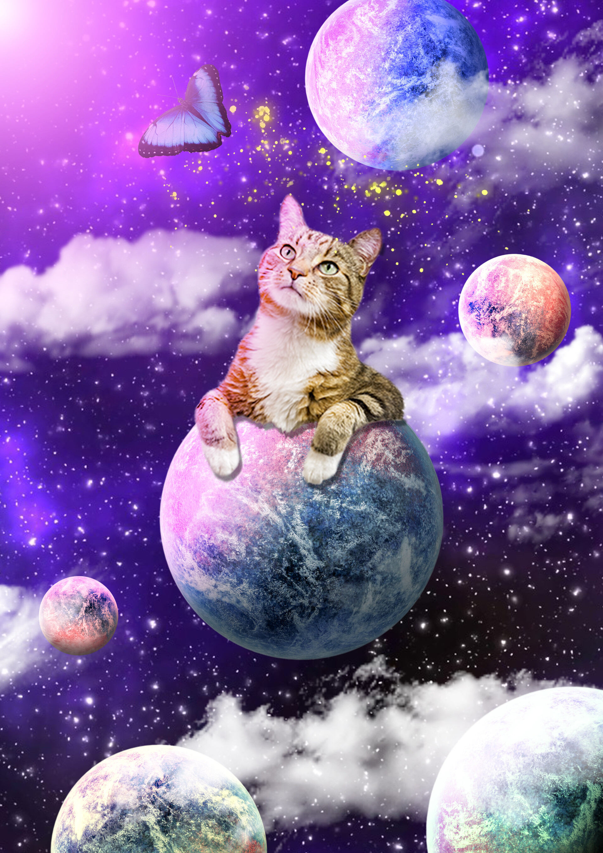 1920x2716 ArtStation Space cat(wallpaper