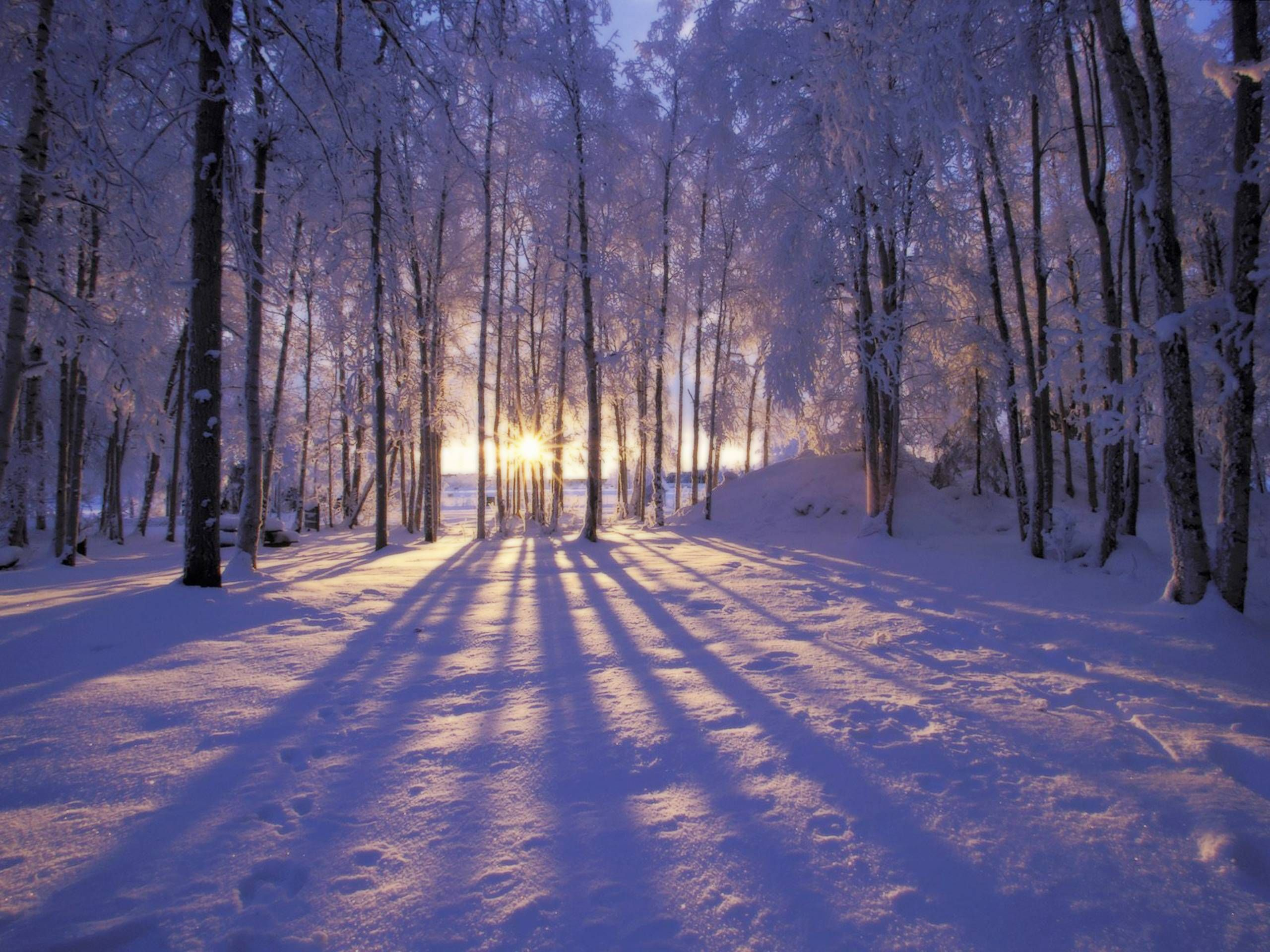 2560x1920 Winter Scenes for Desktop Wallpapers HD Wallpapers Inn | Winter landscape, Winter wallpaper, Winter scenery
