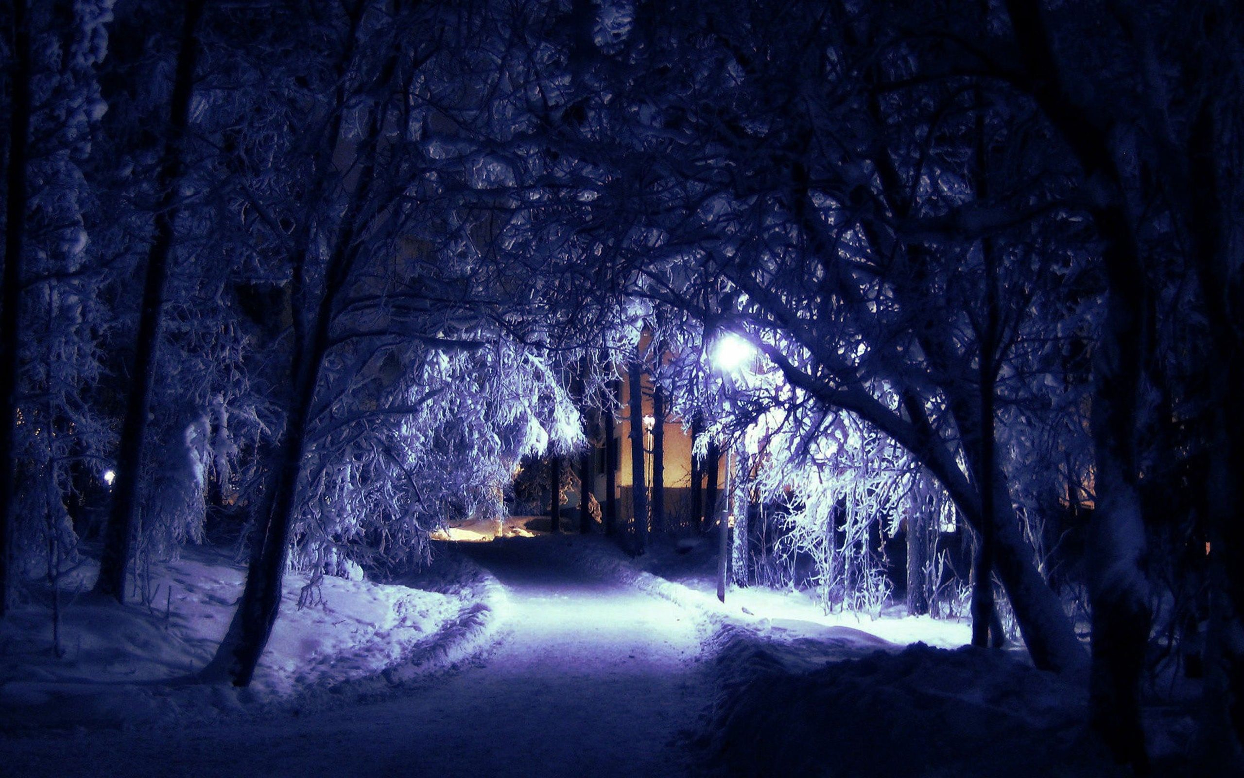 2560x1600 Dark Winter Night Wallpapers Top Free Dark Winter Night Backgrounds