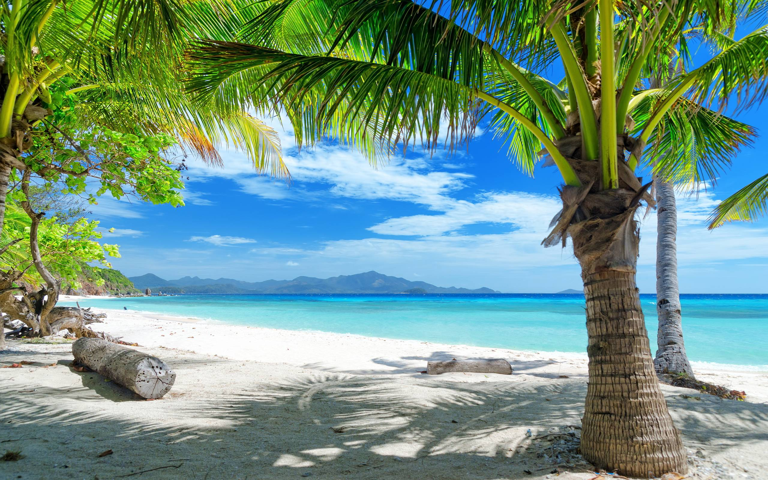 2560x1600 Tropical Beach Wallpapers Top Free Tropical Beach Backgrounds