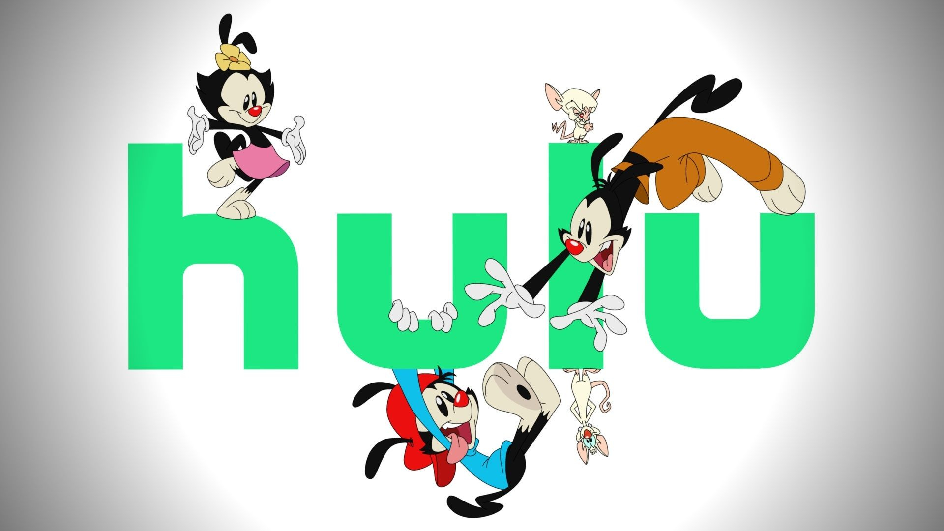 1920x1080 The Animaniacs \u0026 Pinky and the Brain reboot coming to Hulu in 2020 Dexert