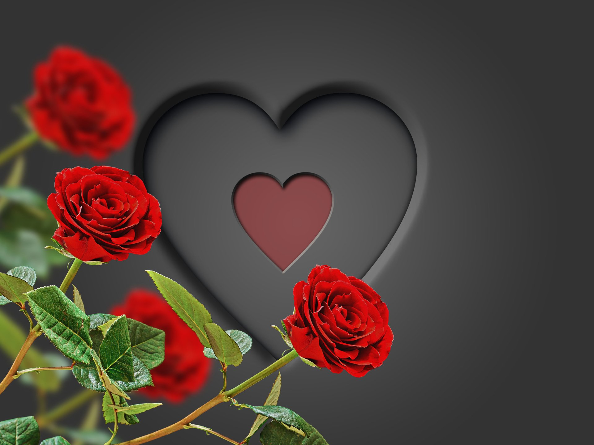 1920x1440 Heart with red roses by Susanlu4esm